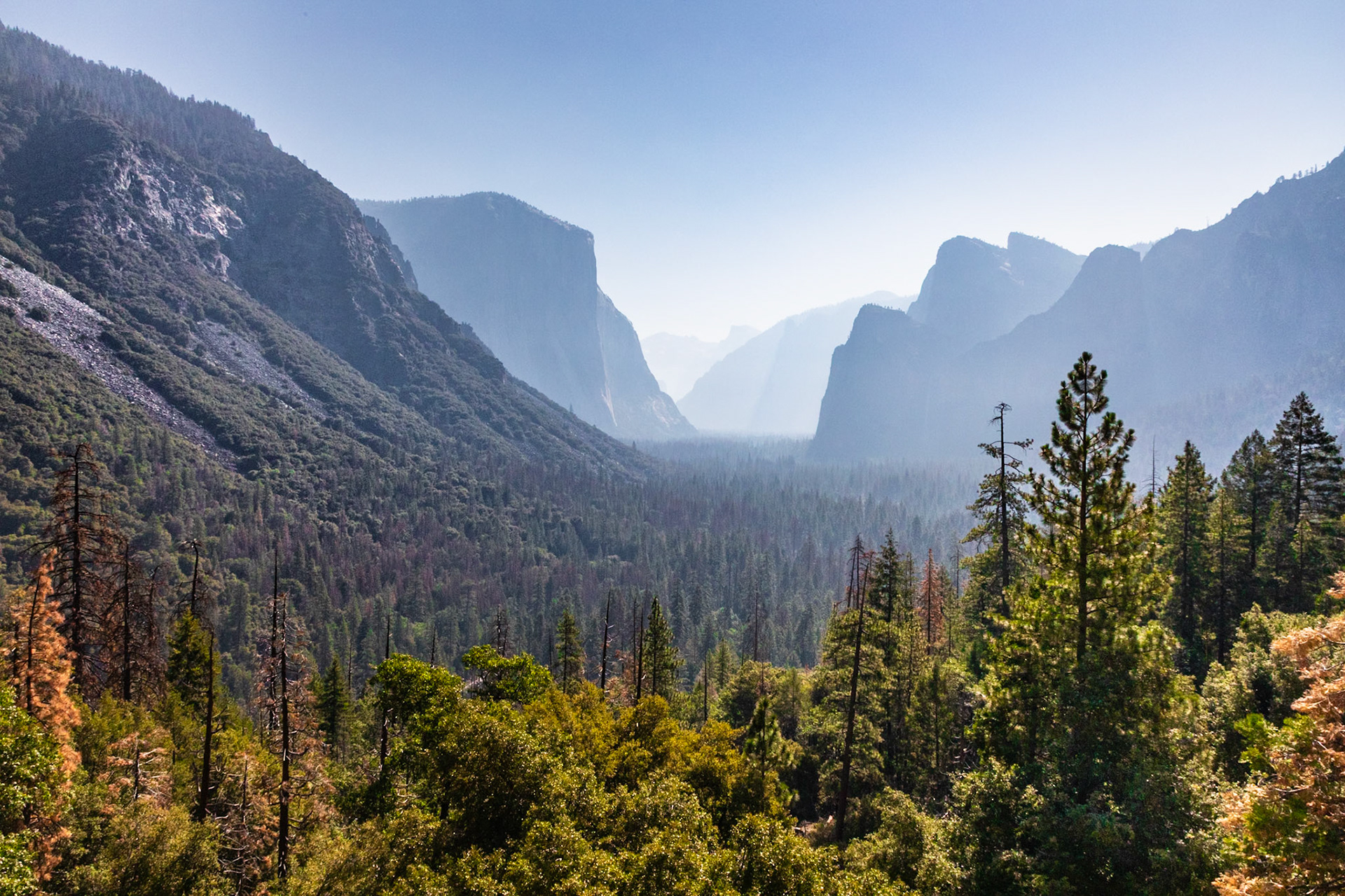 Yosemite National Park