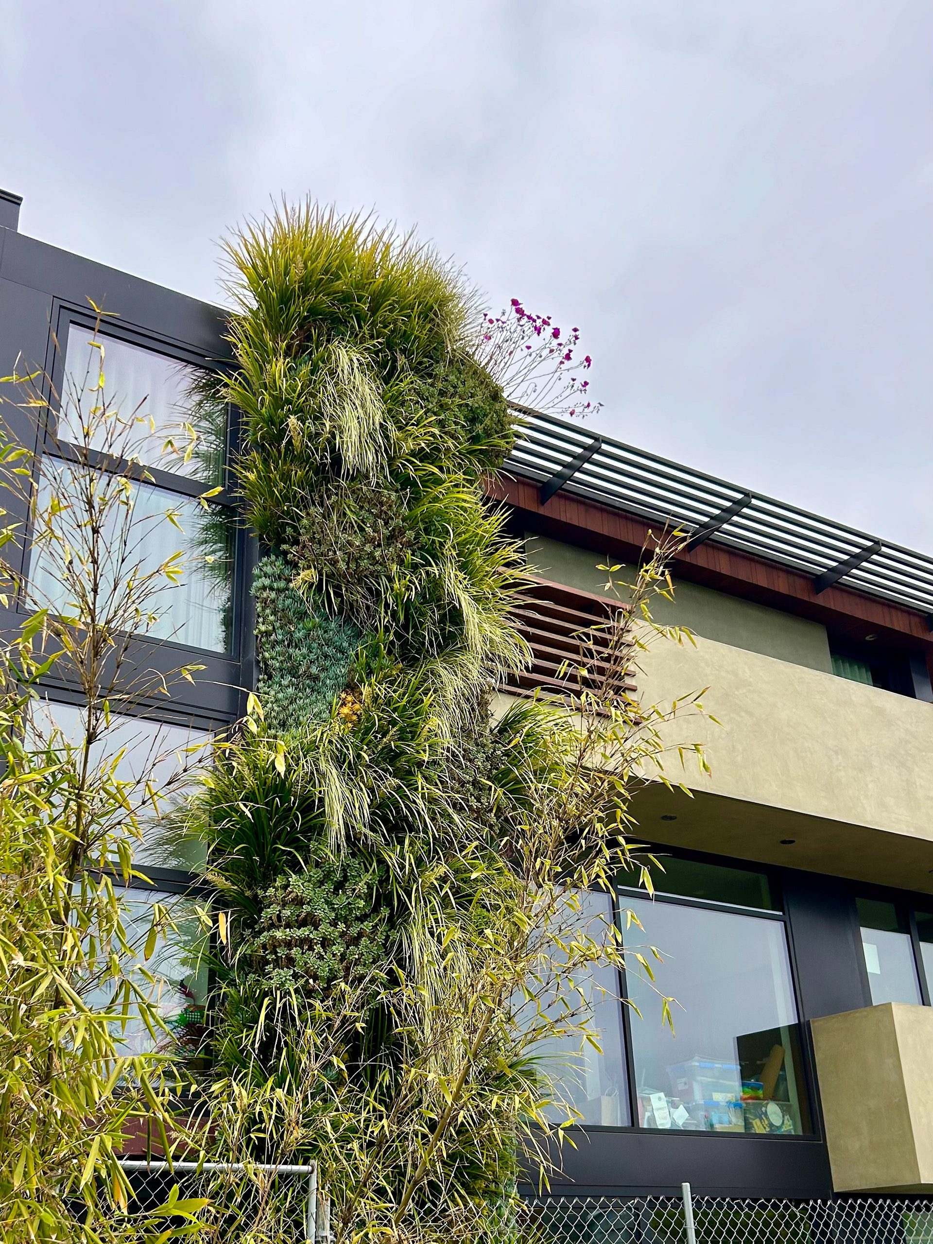 Completed Green Wall