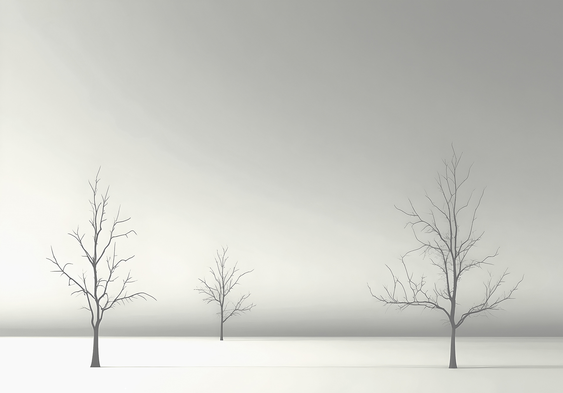 Mural Wallpaper Minimalist Winter Scene