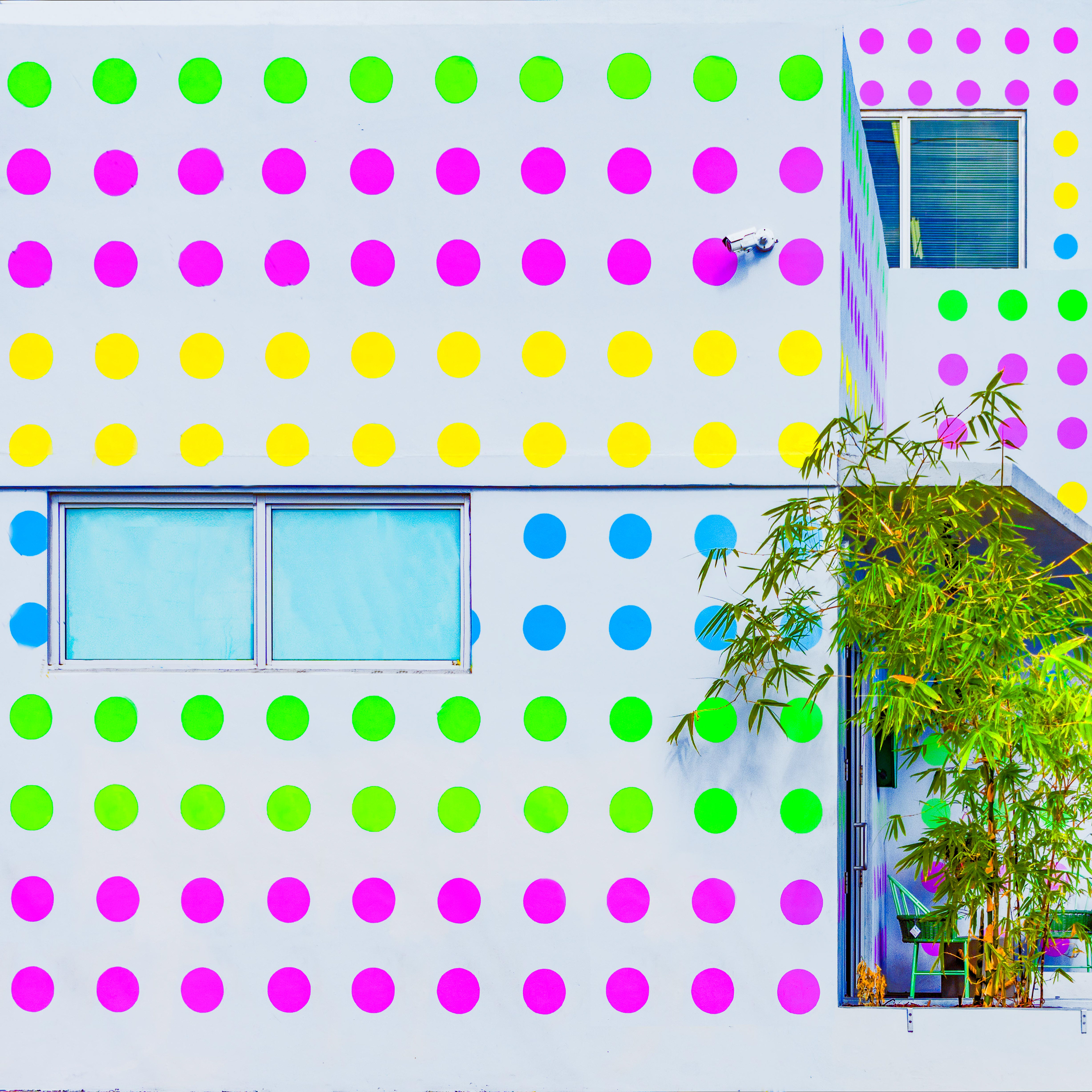 Colorful building façade with bright pink, yellow, green, and blue polka dots. Features a window and bamboo plant, creating a playful, lively feel.
