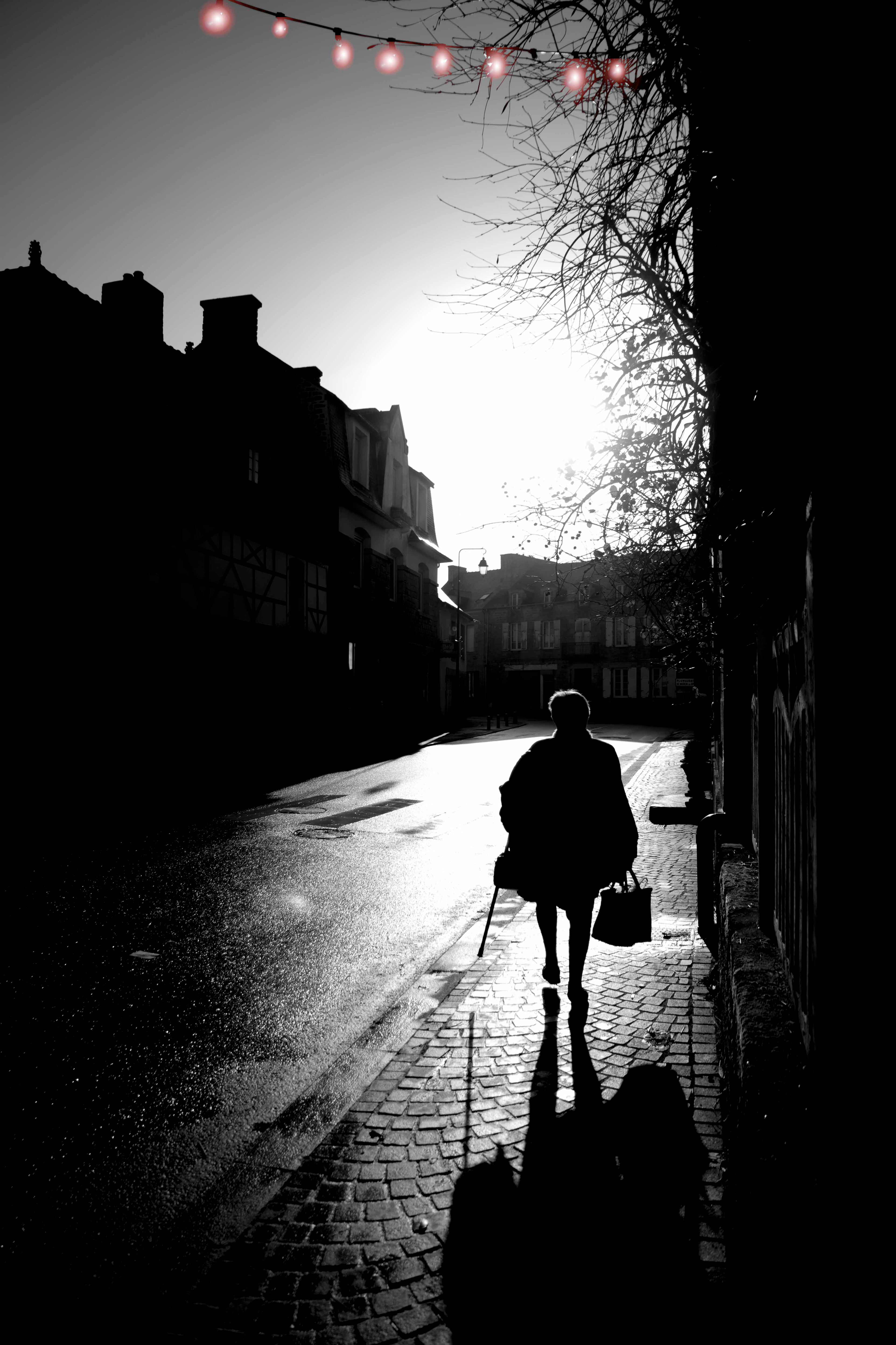 Silhouetted figure walking with a stick on a sunlit cobblestone street, framed by historic buildings and bare tree branches, creating an introspective mood.