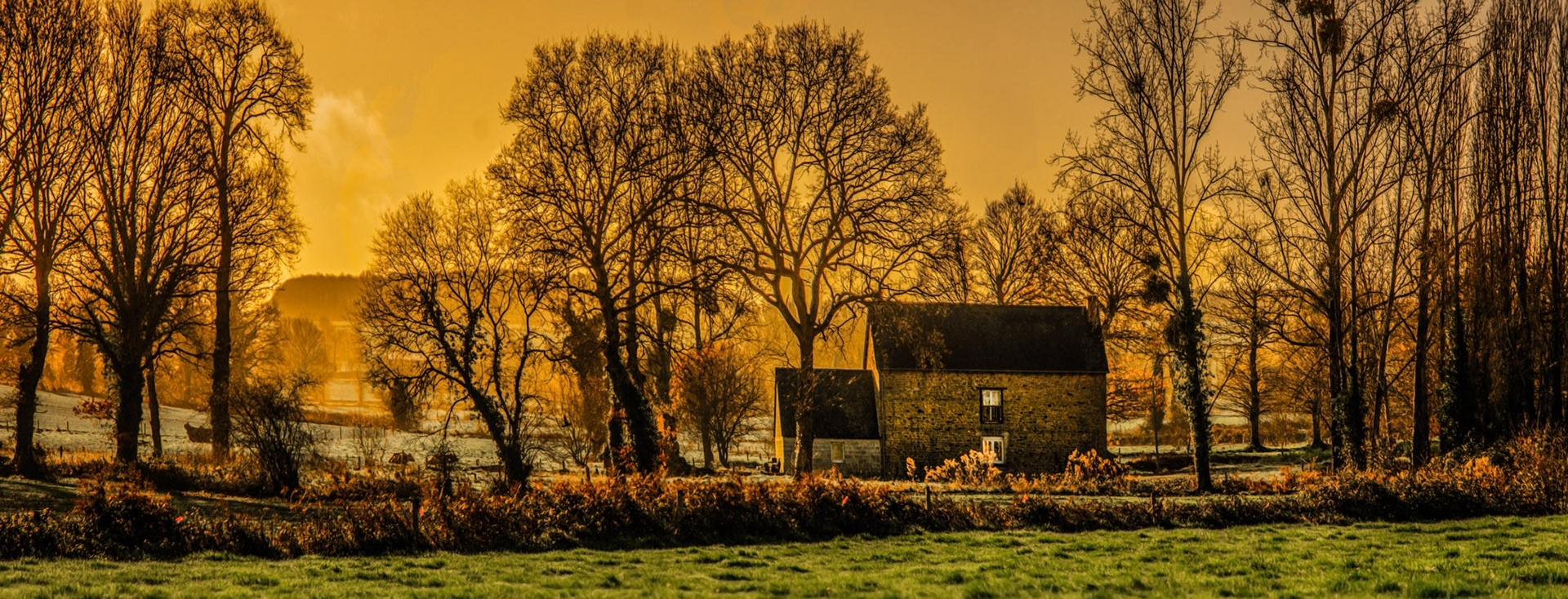 A rustic stone house sits amid leafless trees in a serene landscape. The golden glow of sunset casts warm hues, evoking tranquility and nostalgia.