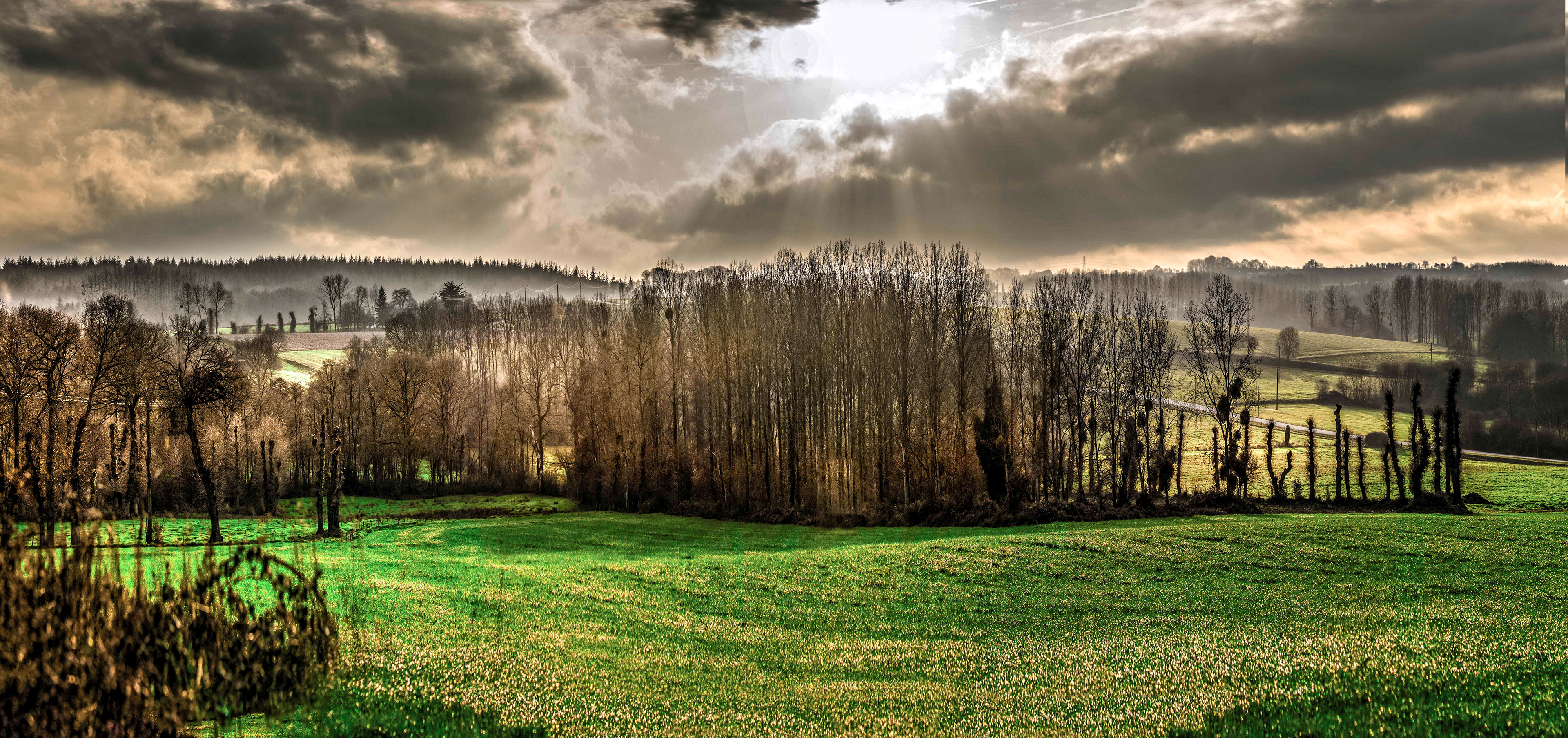 Lush green field with bare trees under a dramatic sky, as sunbeams break through clouds, casting a serene, ethereal mood across the landscape.