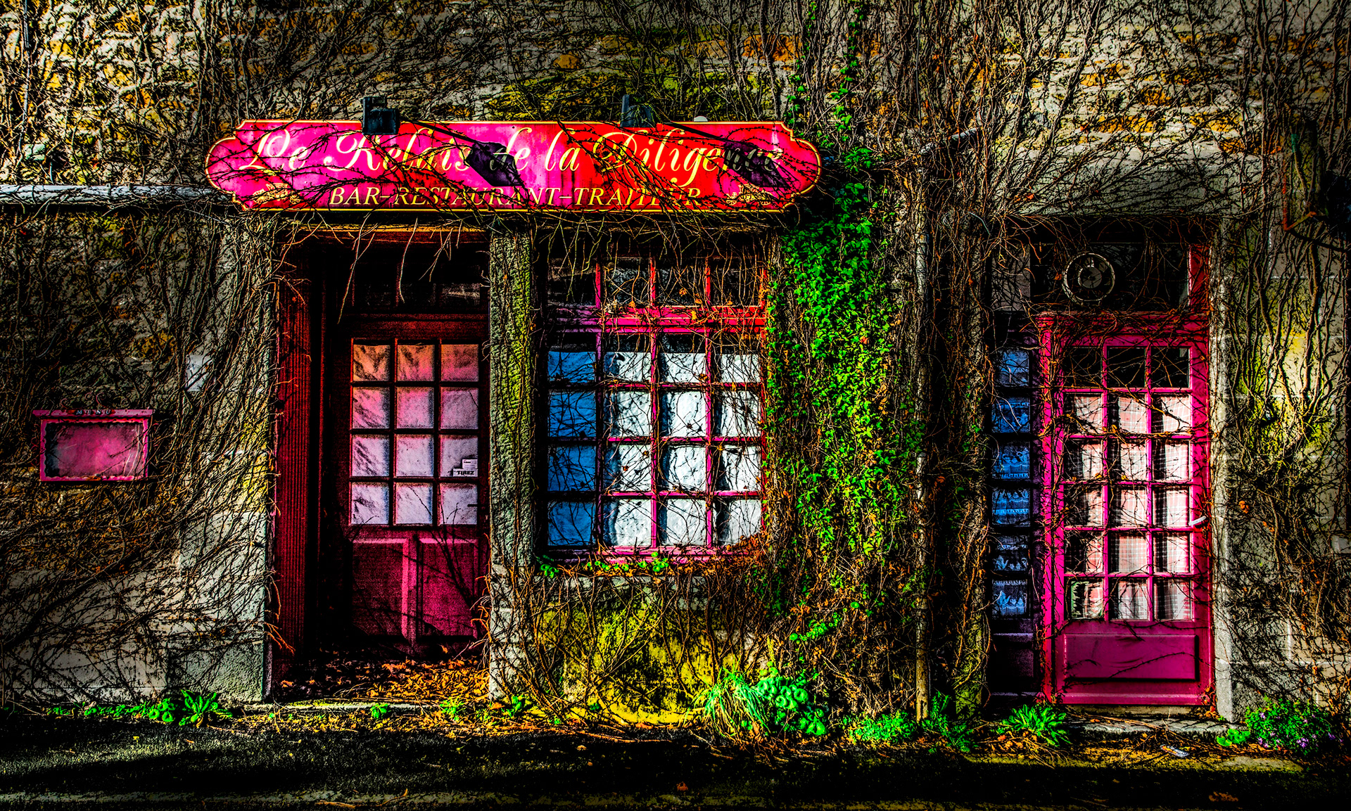 Colored photo of an old bar entrance. Pink doors and sign are adorned with leafless vines and a green ivy wall. A nostalgic, rustic atmosphere.