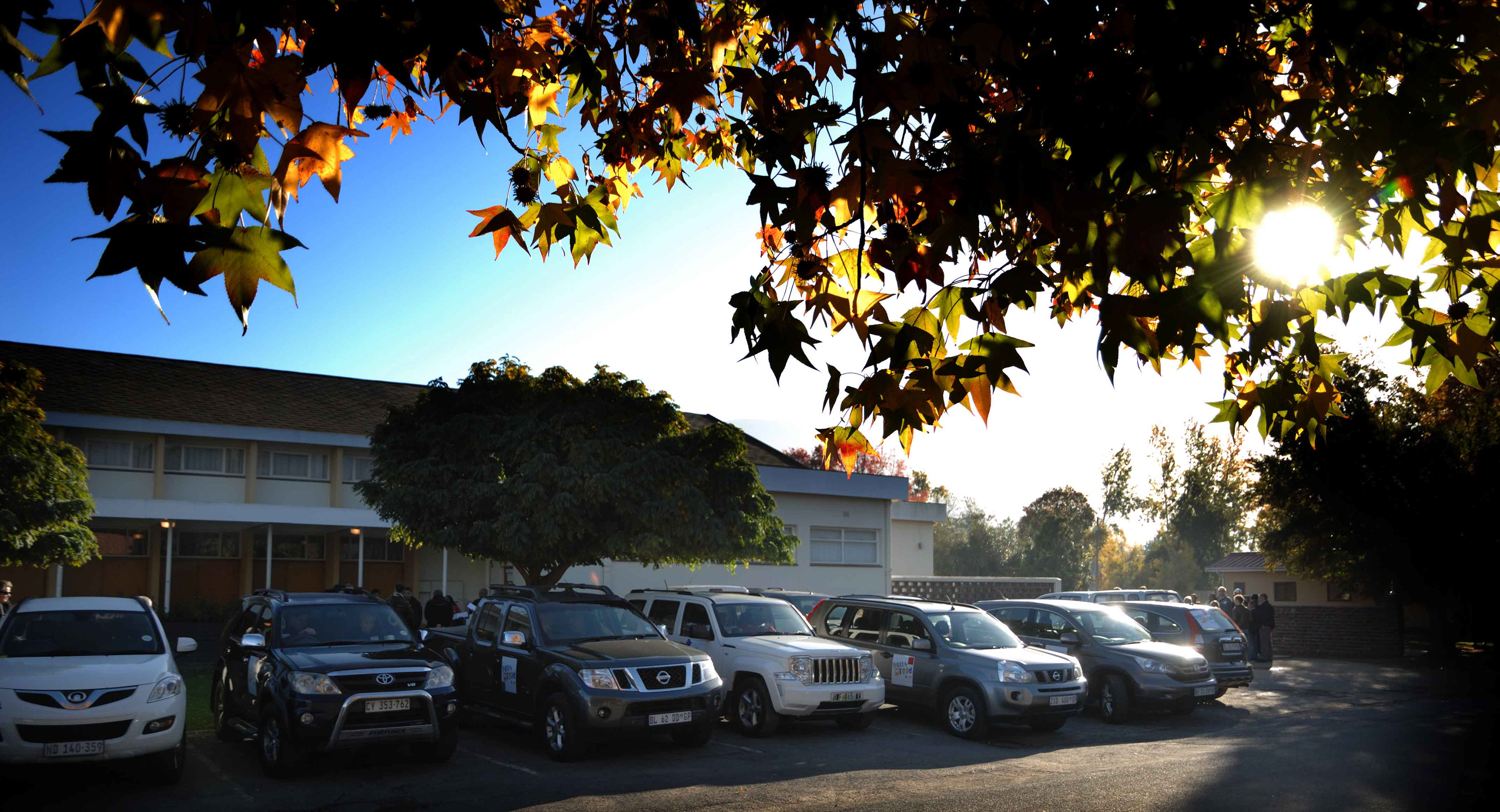 Cars parked in a sunlit parking lot beneath a tree with autumn leaves. A building and clear blue sky are in the background, evoking a serene morning.
