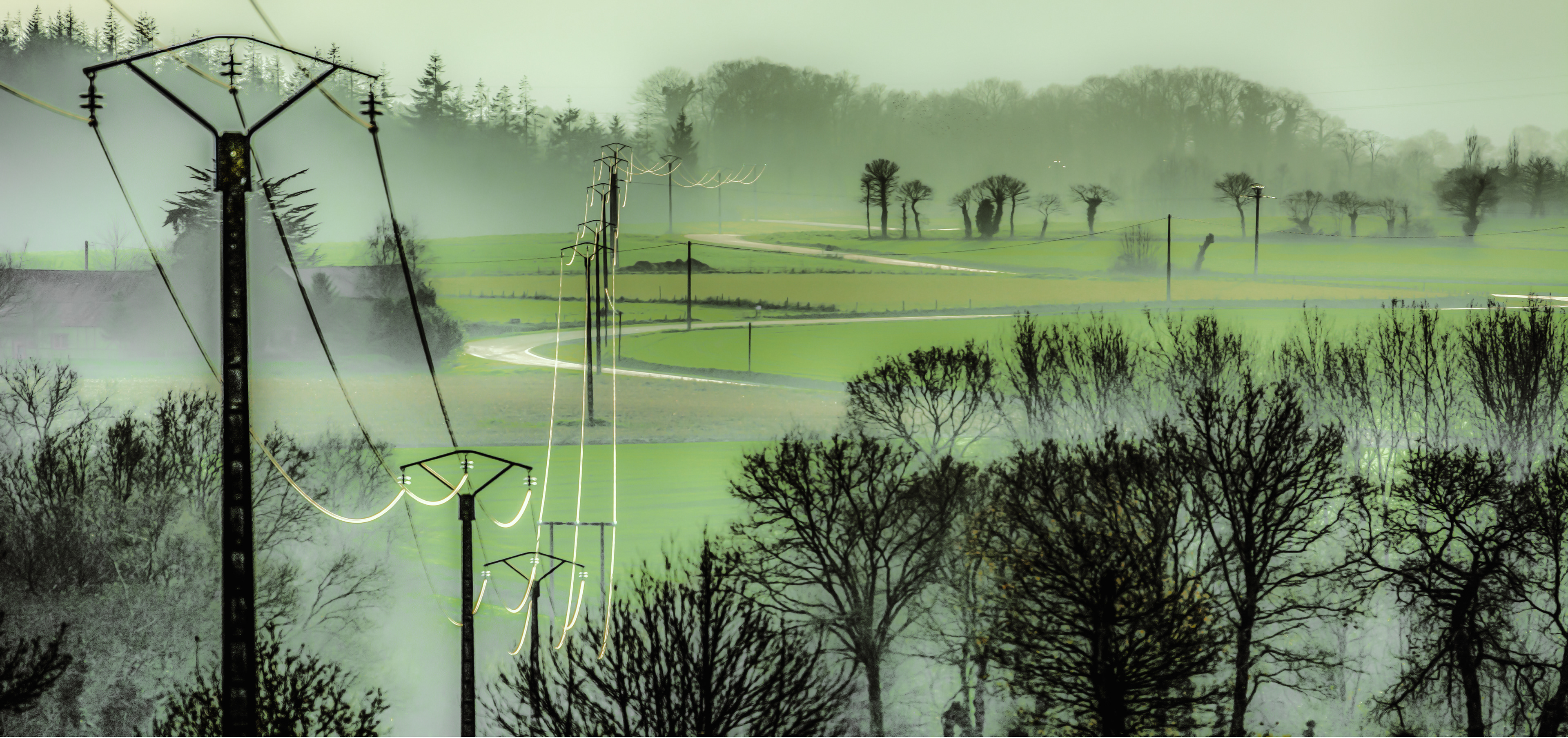 Power lines stretch across a misty, green landscape with bare trees in the foreground and distant fog-shrouded fields, evoking a serene, mysterious mood.