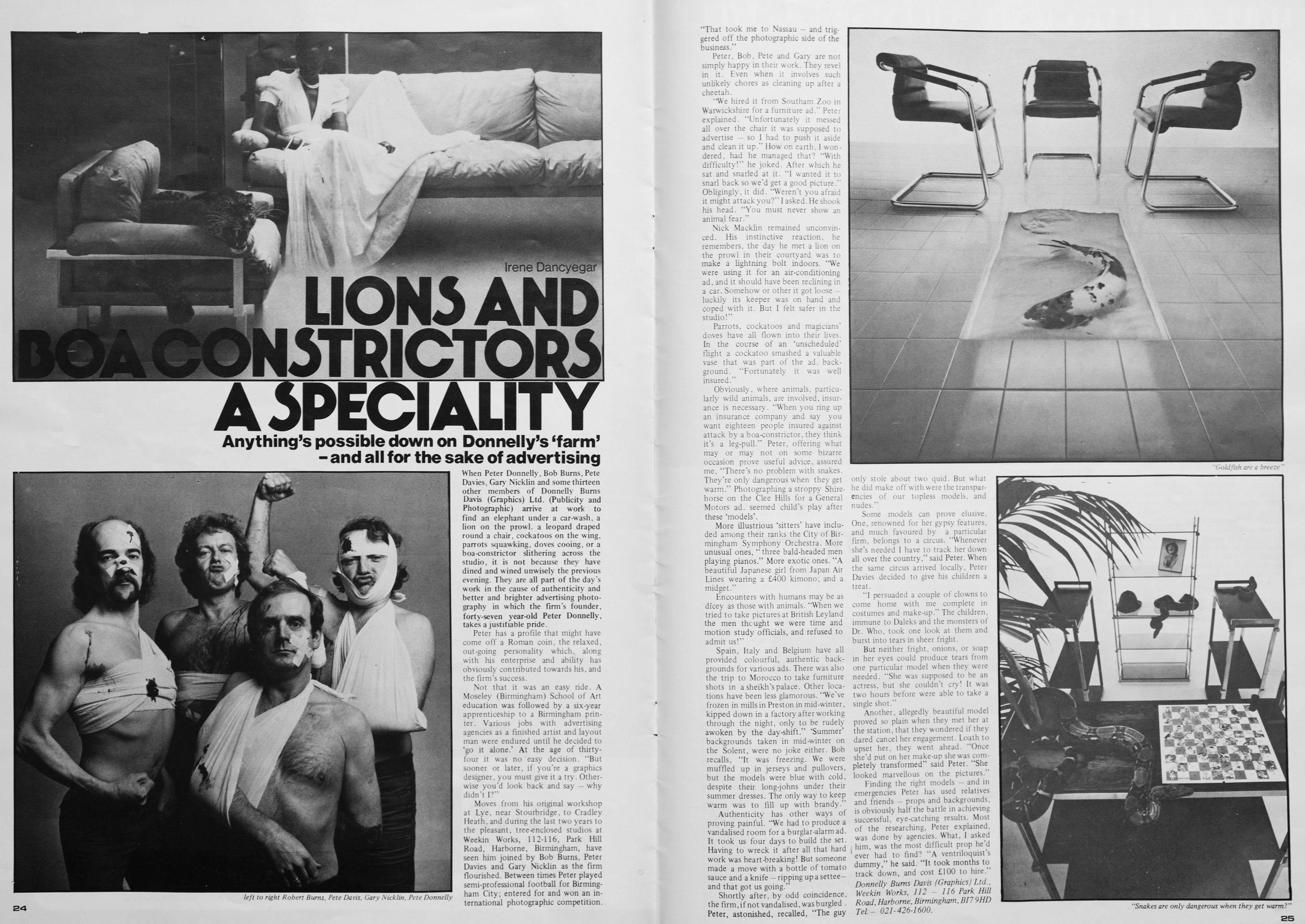 Alt text: A black and white magazine spread features bold text reading "Lions and Boa Constrictors a Specialty." The left side shows people in humorous poses, bandaged with defiant expressions. The right page shows an interior with modern furniture, a fish on a rug between two chairs, conveying a surreal and quirky vibe. Donnelly Burns Nicklin