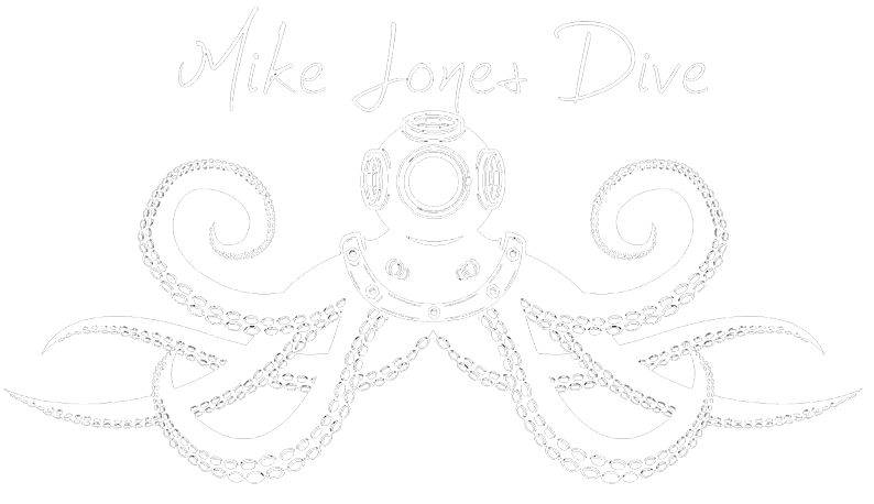Mike Jones Dive