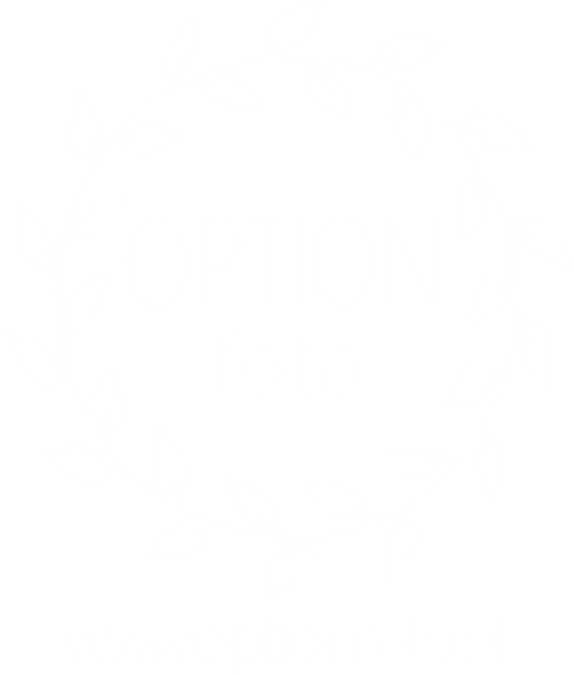 Option Foto logo