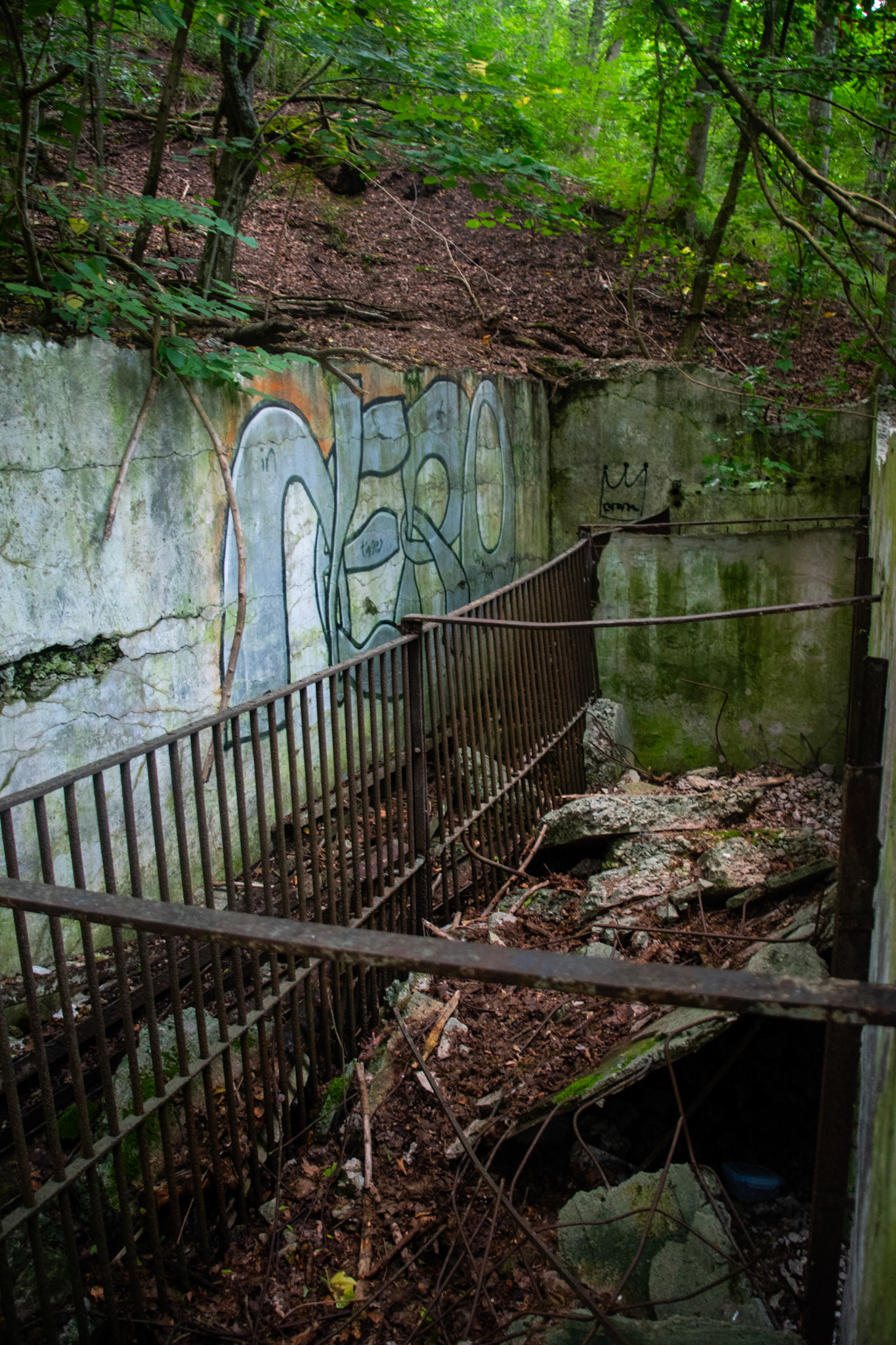 wir haben an diesem Tag ein kleines Abenteuer in die Vergangenheit unternommen. Der Zoo Tübingen wurde 1919 geschlossen. Die Ruinen die man dort heute noch antrifft sind also 100 Jahre alt. Spannend. Leo hat es sehr viel Spaß gemacht