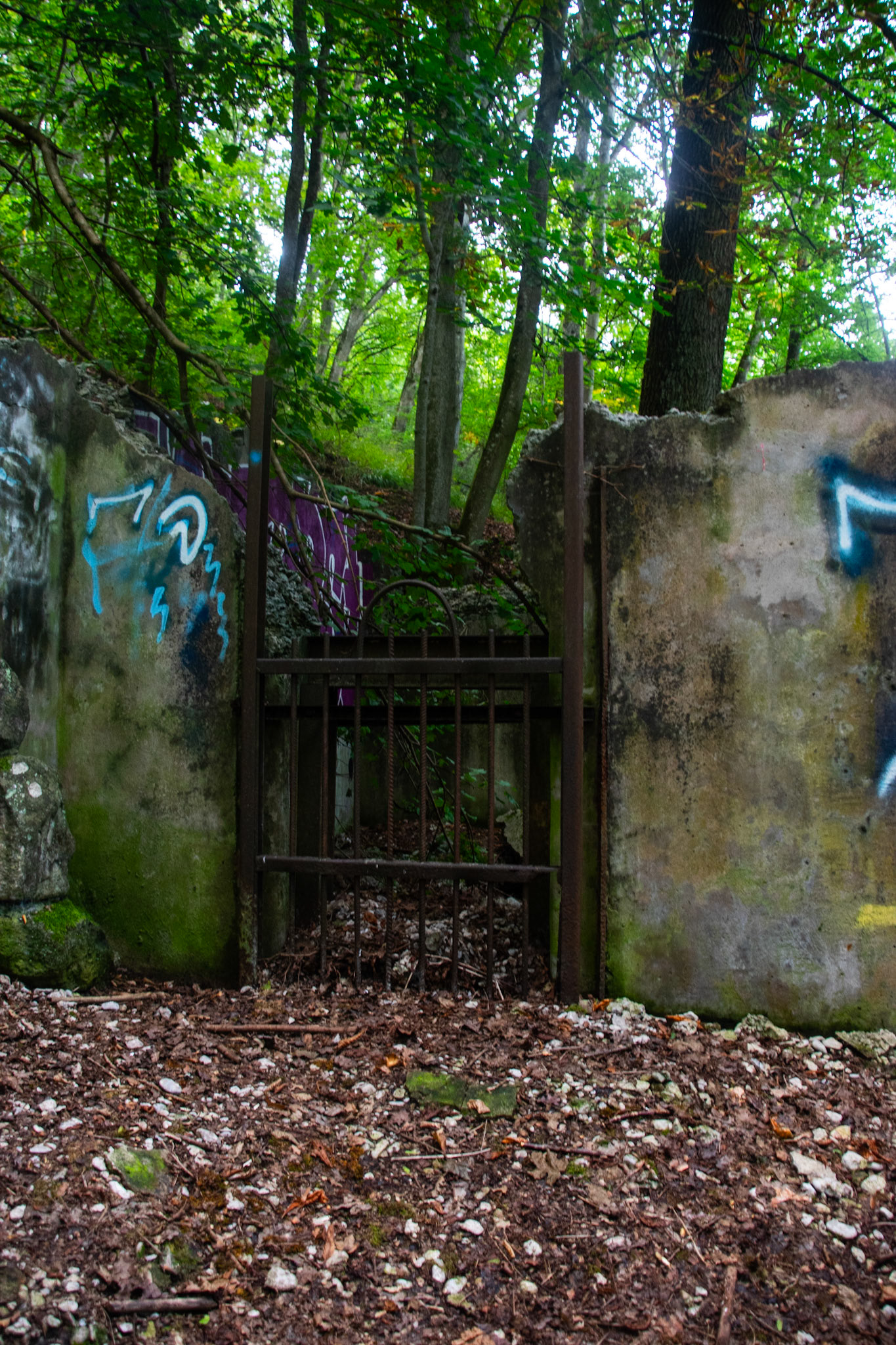 wir haben an diesem Tag ein kleines Abenteuer in die Vergangenheit unternommen. Der Zoo Tübingen wurde 1919 geschlossen. Die Ruinen die man dort heute noch antrifft sind also 100 Jahre alt. Spannend. Leo hat es sehr viel Spaß gemacht