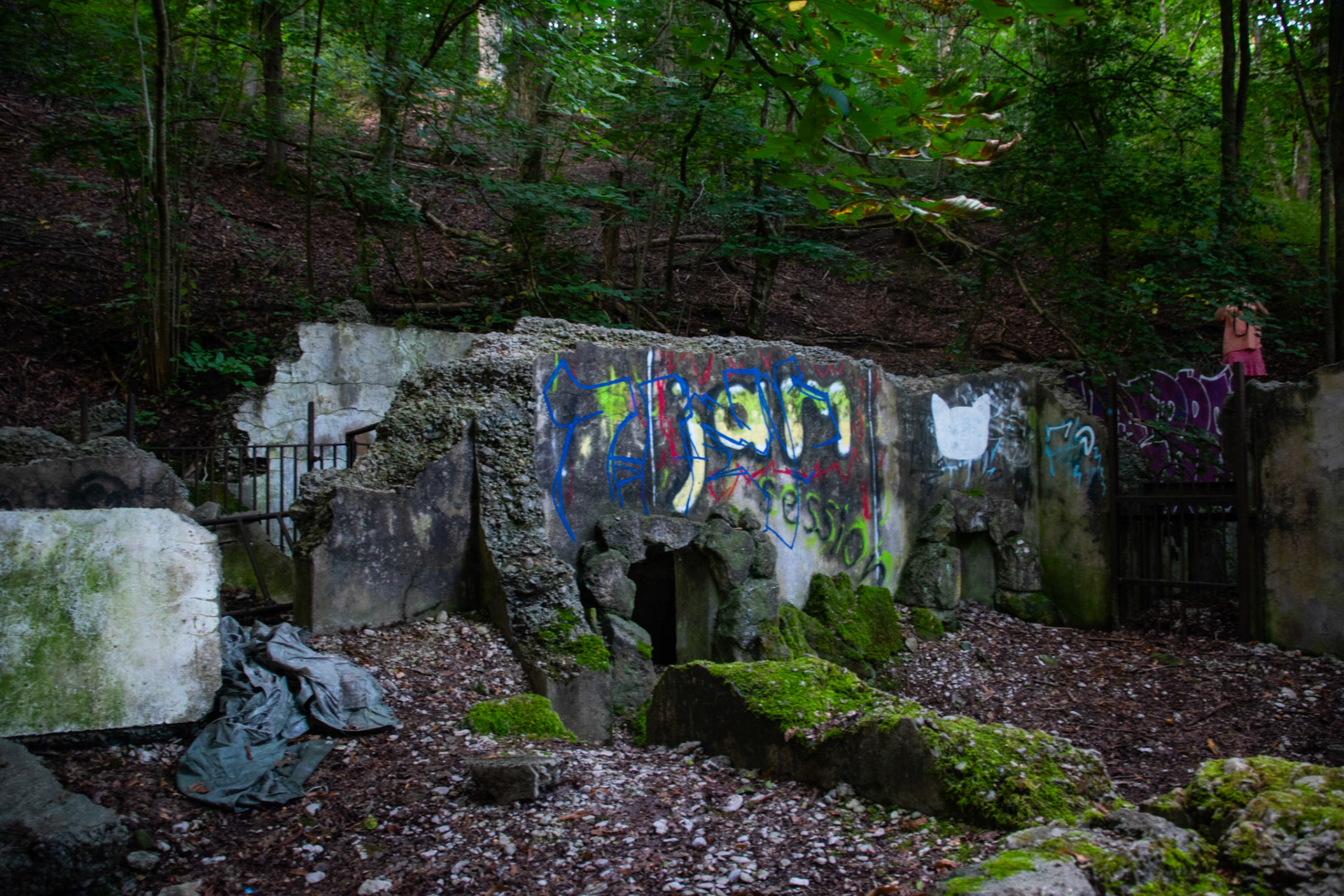 wir haben an diesem Tag ein kleines Abenteuer in die Vergangenheit unternommen. Der Zoo Tübingen wurde 1919 geschlossen. Die Ruinen die man dort heute noch antrifft sind also 100 Jahre alt. Spannend. Leo hat es sehr viel Spaß gemacht