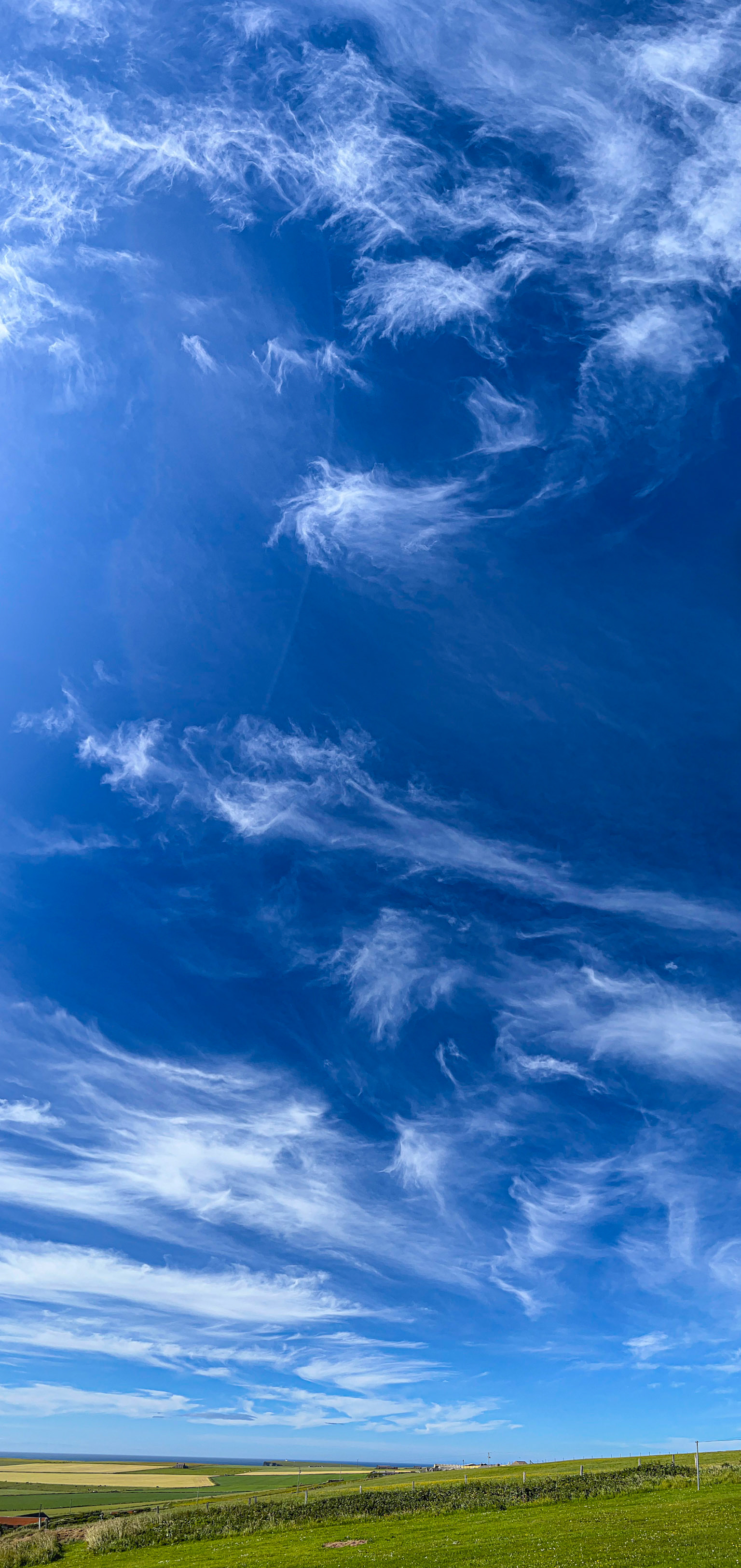 Blue Sky