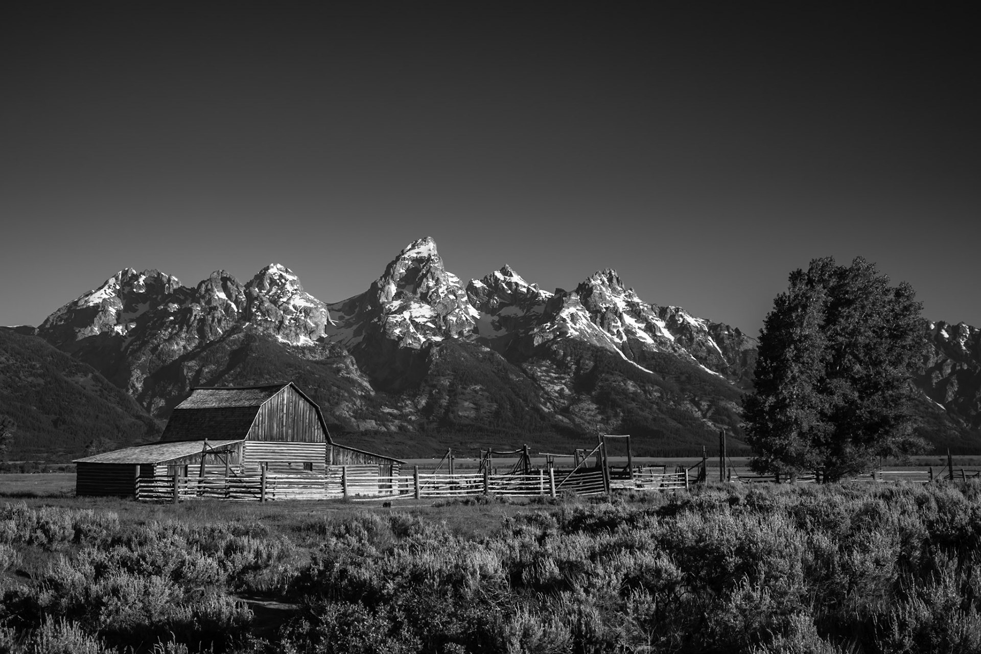 Grand Teton