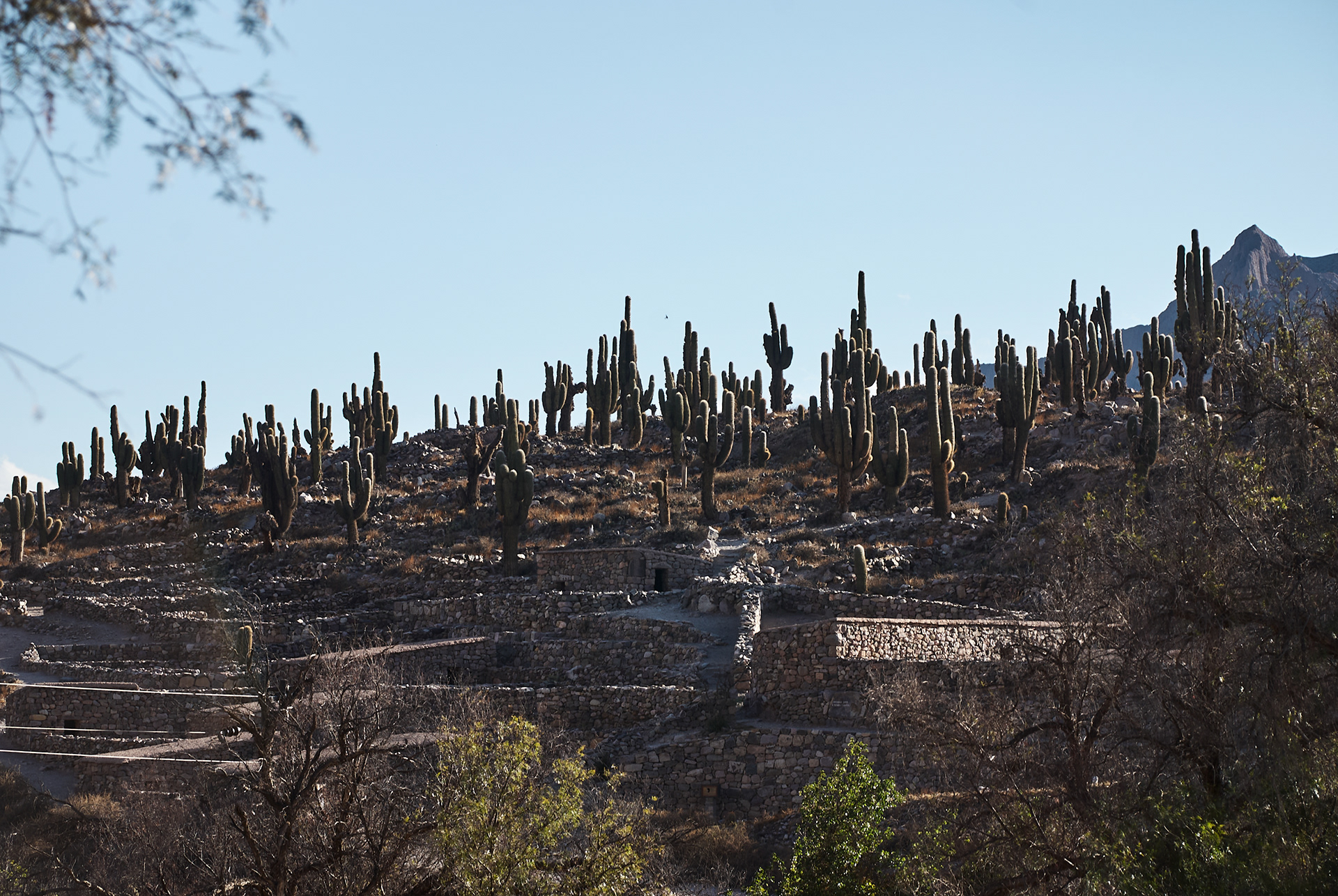 Pucara de Tilcara - JUJUY - ARGENTINA