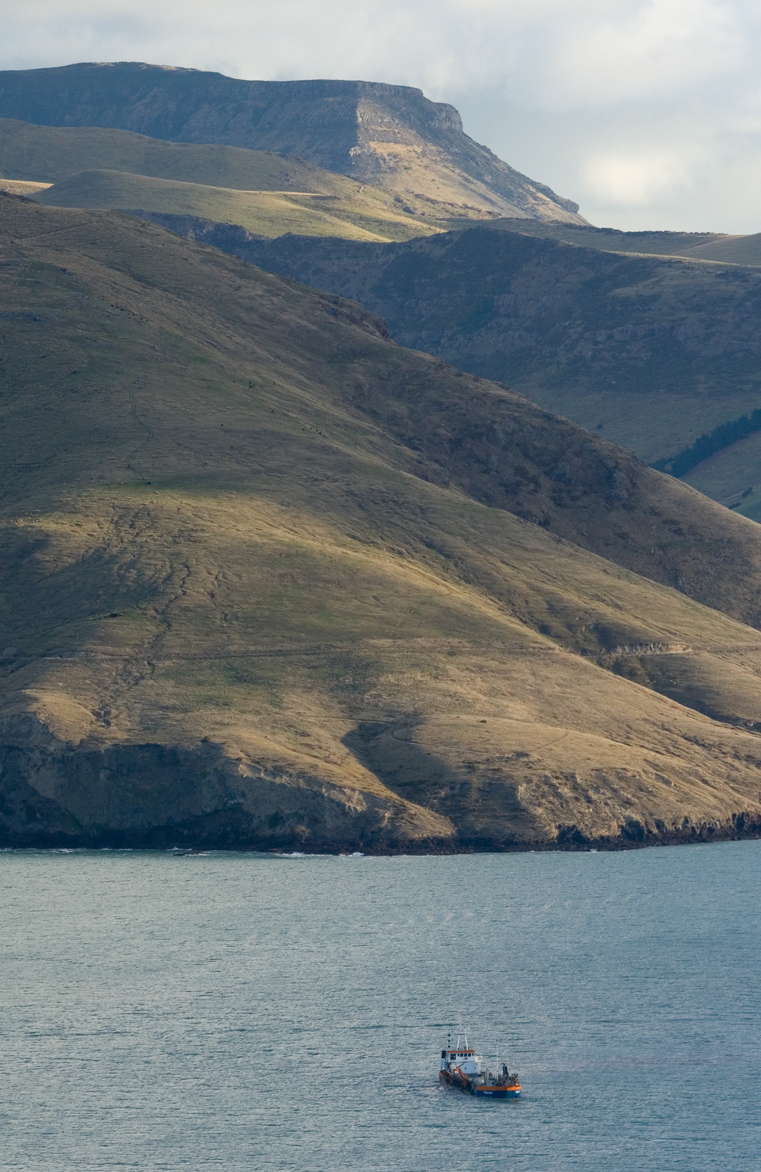 Lyttelton Harbour, Canterbury