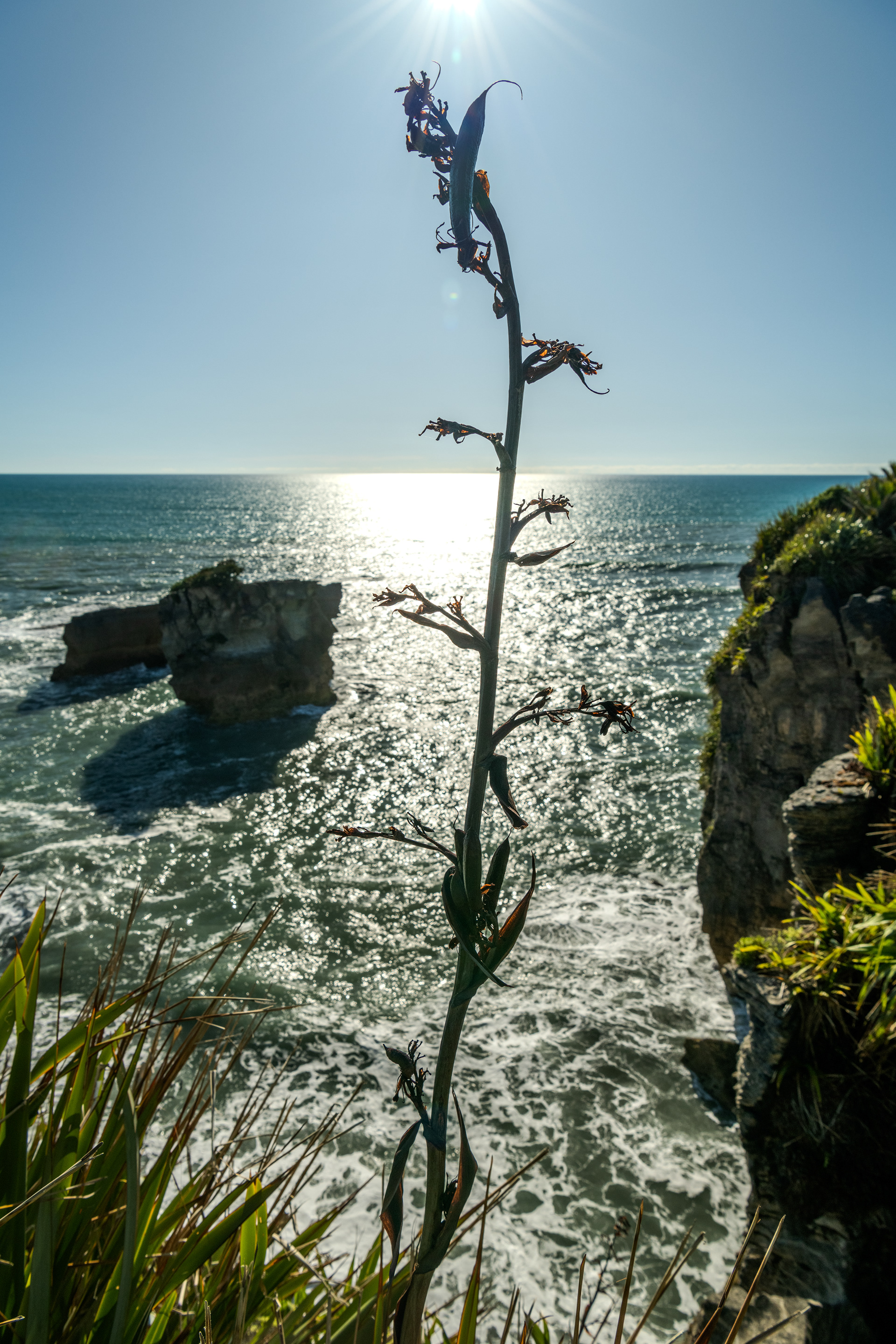 Punakaiki, West Coast