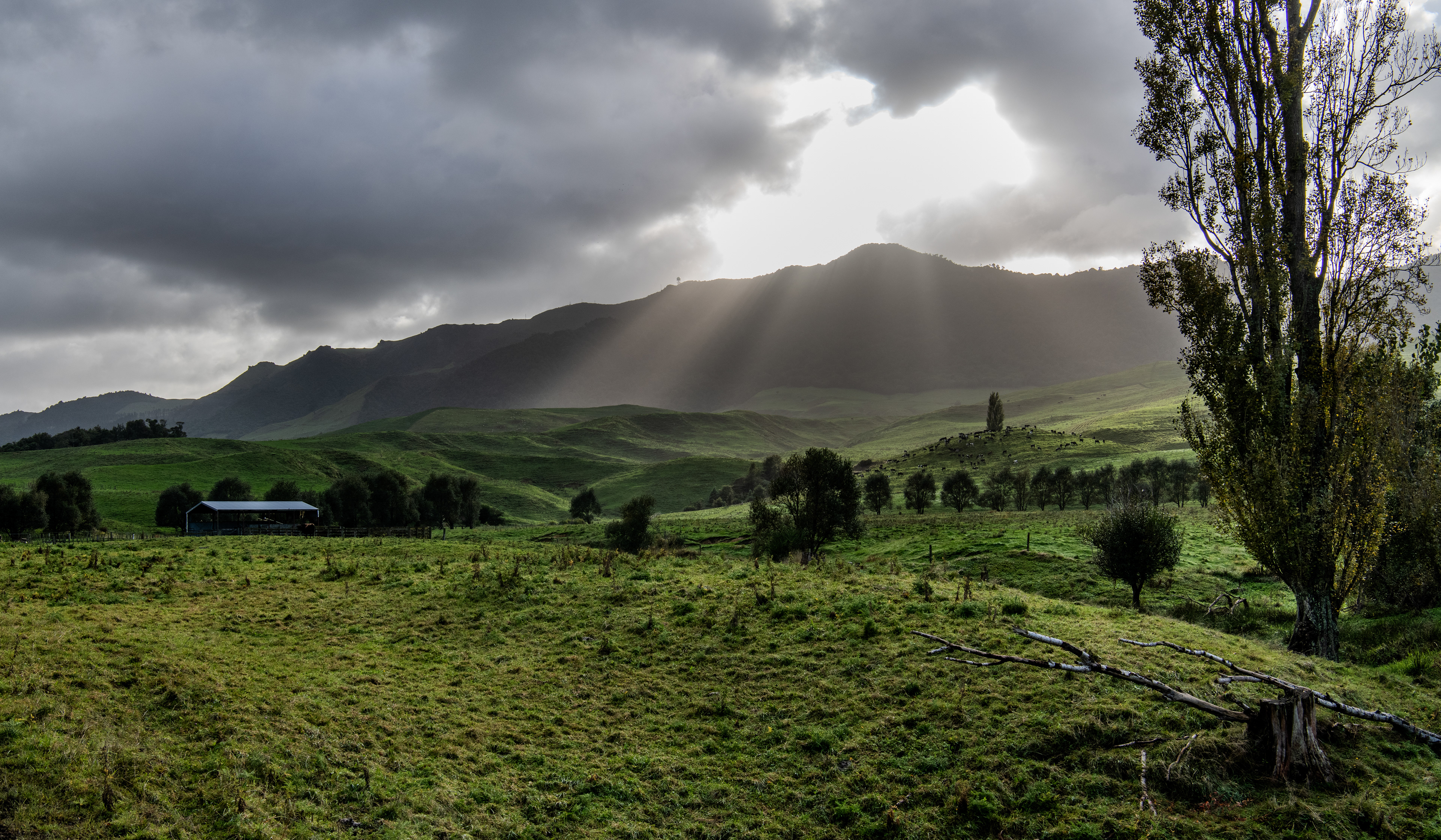 Sunrise over the Kaimai range, south of Te Aroha, Waikato