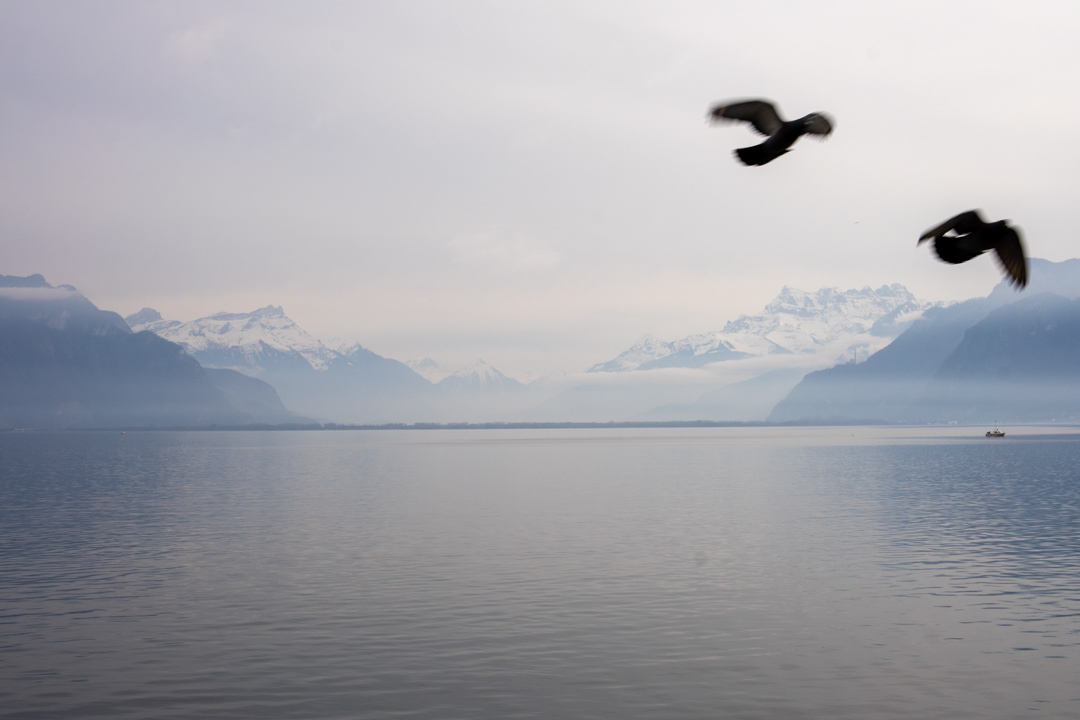 Montreux, Switzerland (2024)
