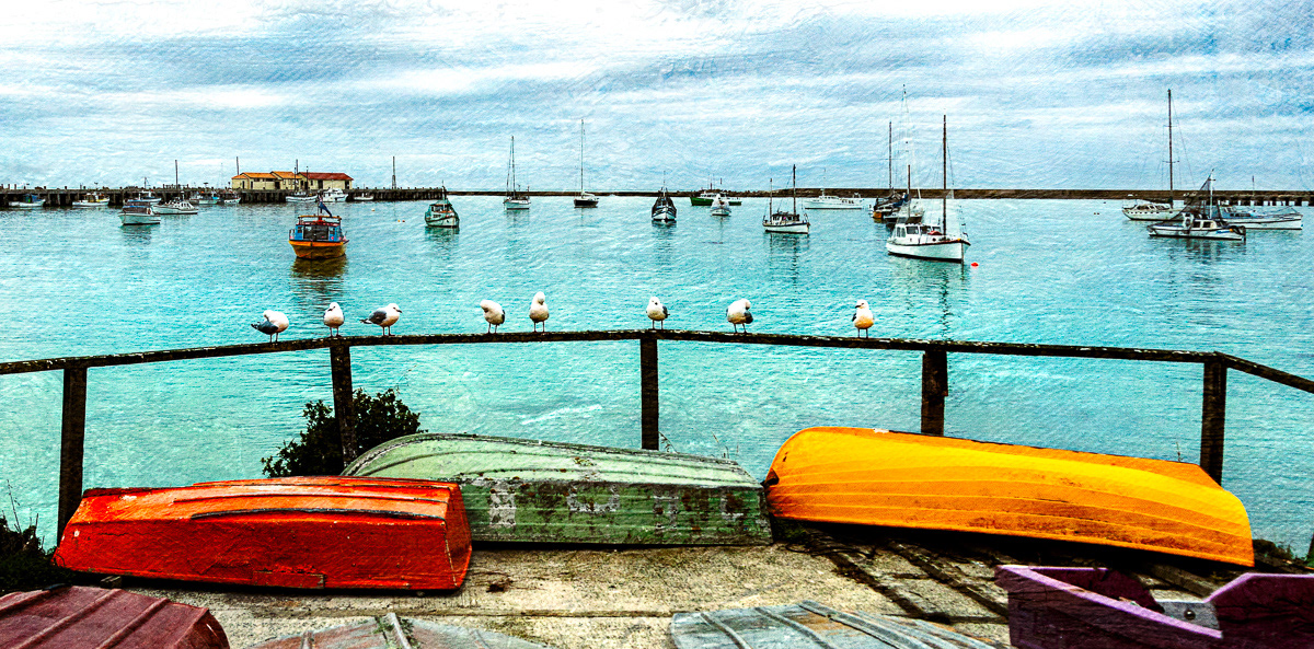SeaGulls & Boats In Oamaru