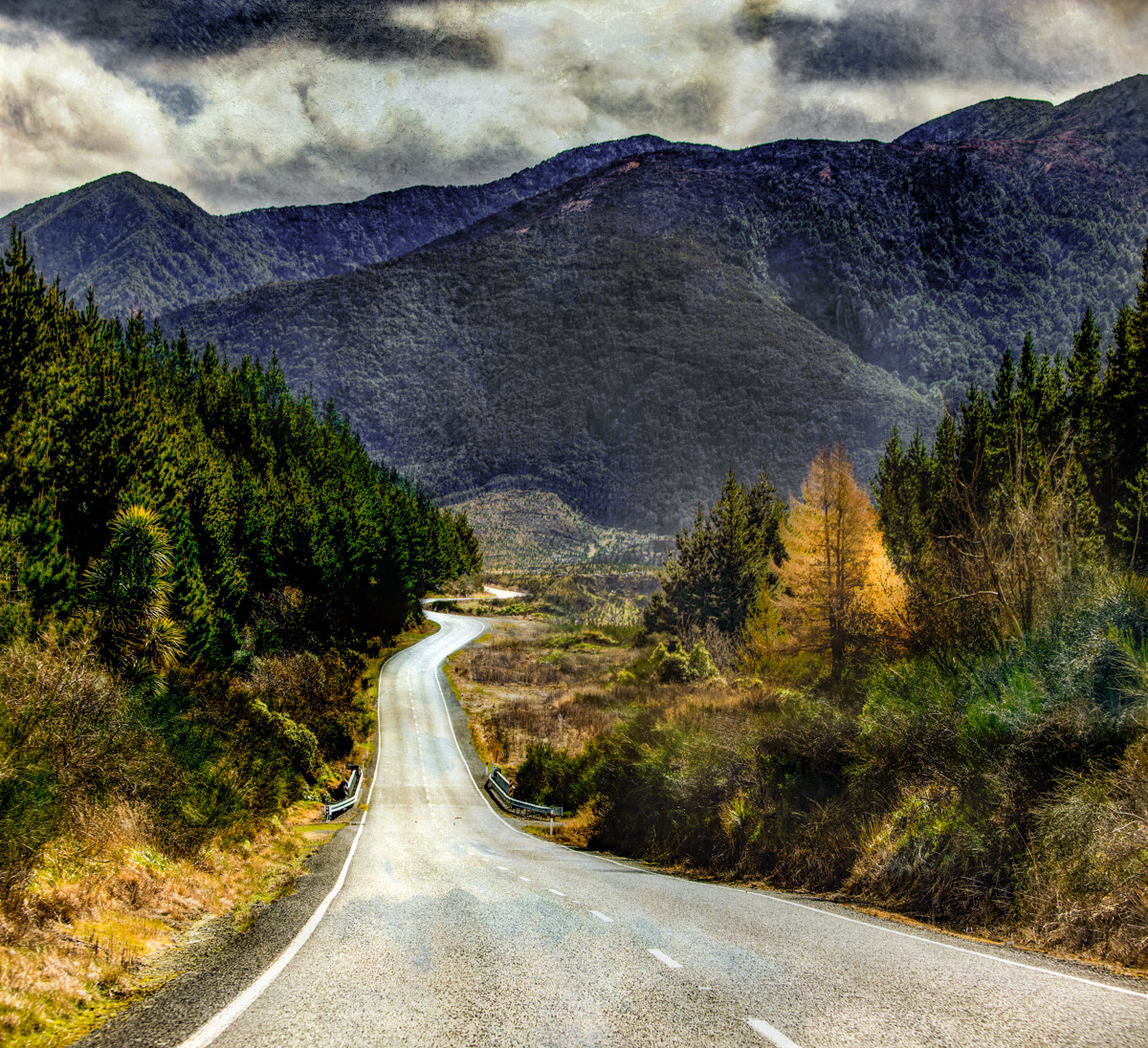 Road Trip On The Napier-Taihape Road