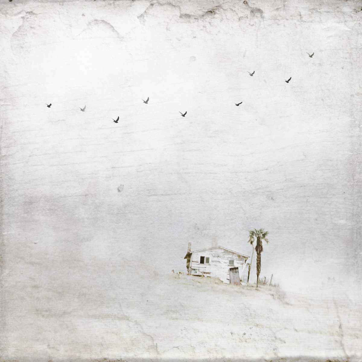 The Imaginary House