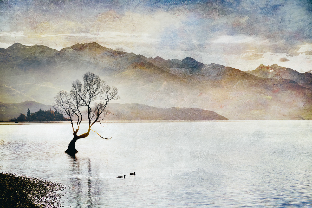 Two Ducks And That Tree (Wanaka)
