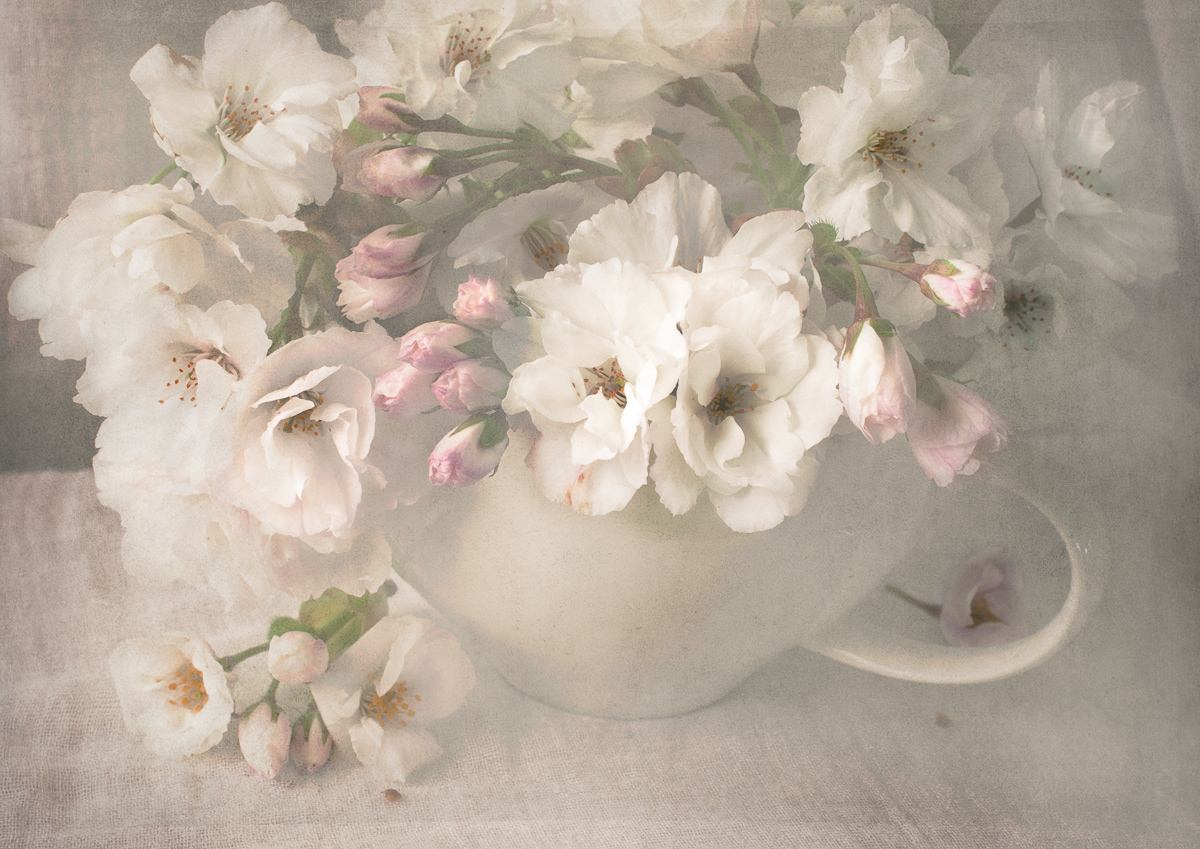 A Spring Blush