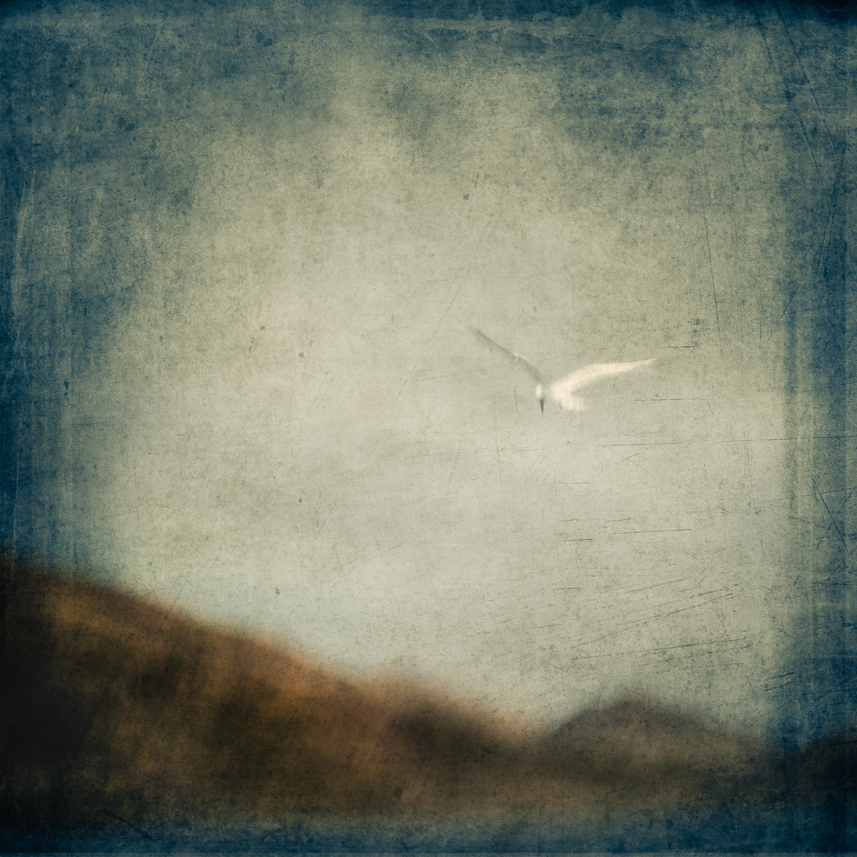 In My Dreams I Can Soar