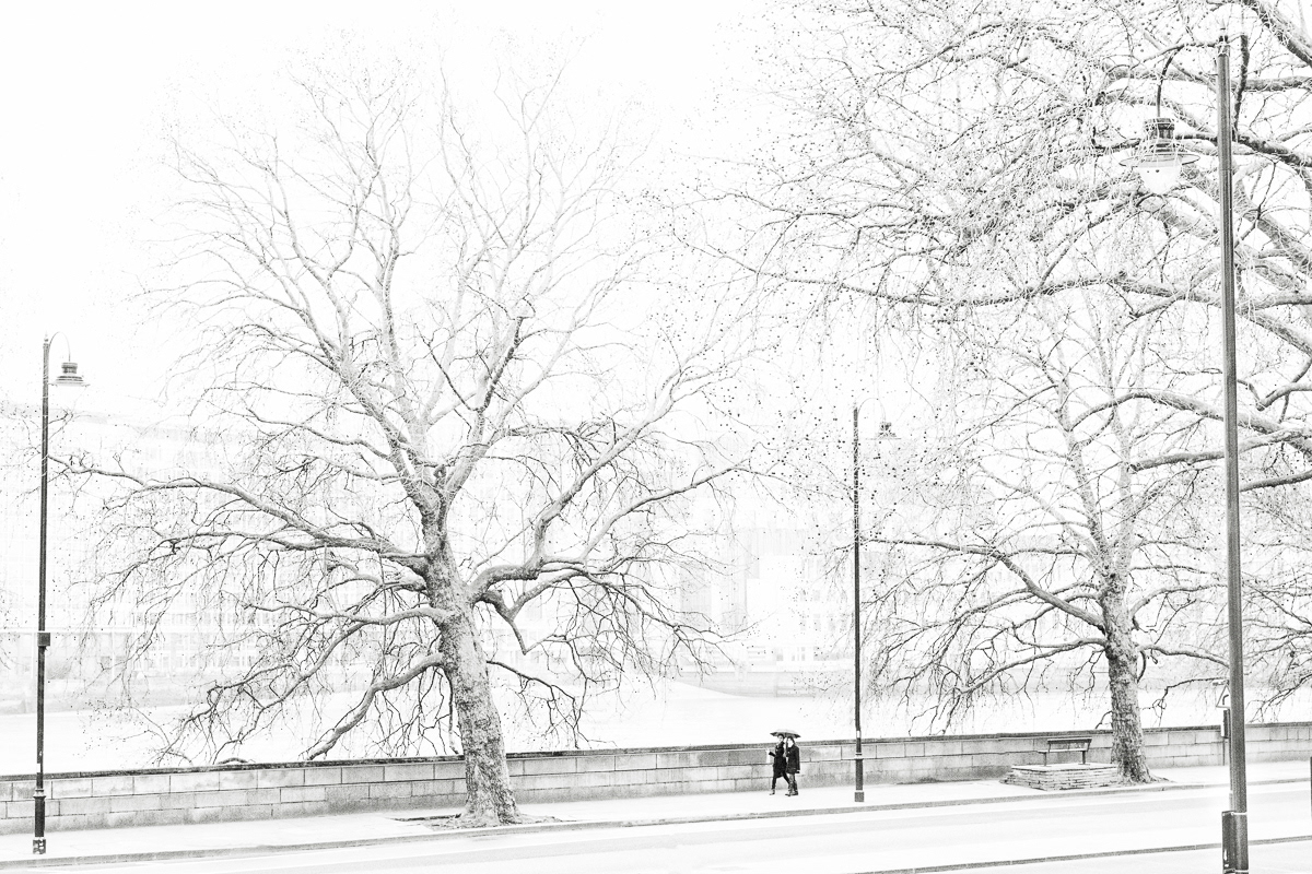 A Wintery Walk In London