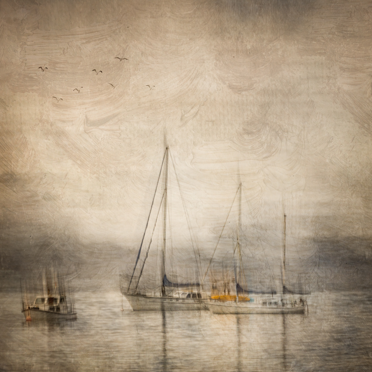 Picton Boats