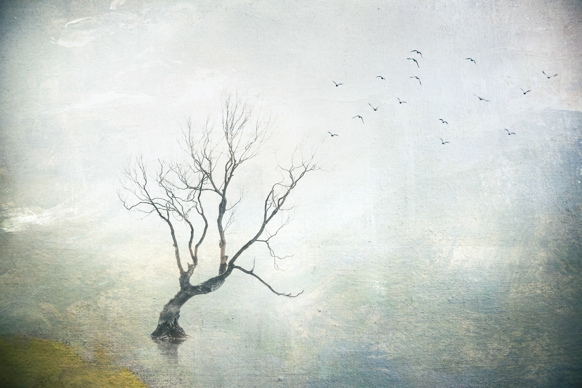 A Longing To Follow The Birds