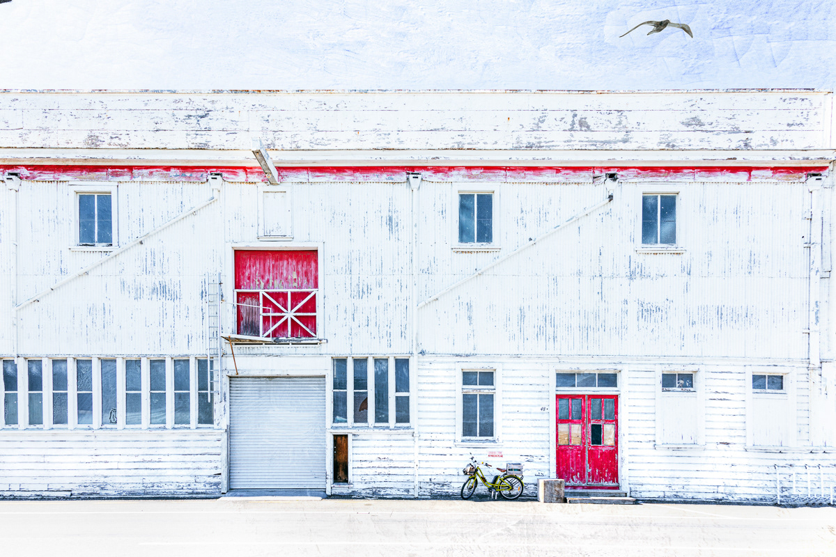 Ahuriri Wool Store With Seagull