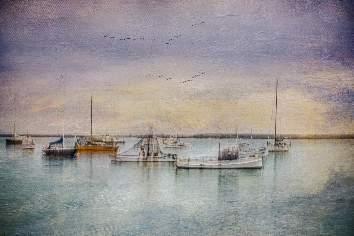 Boats In The Bay (Oamaru)