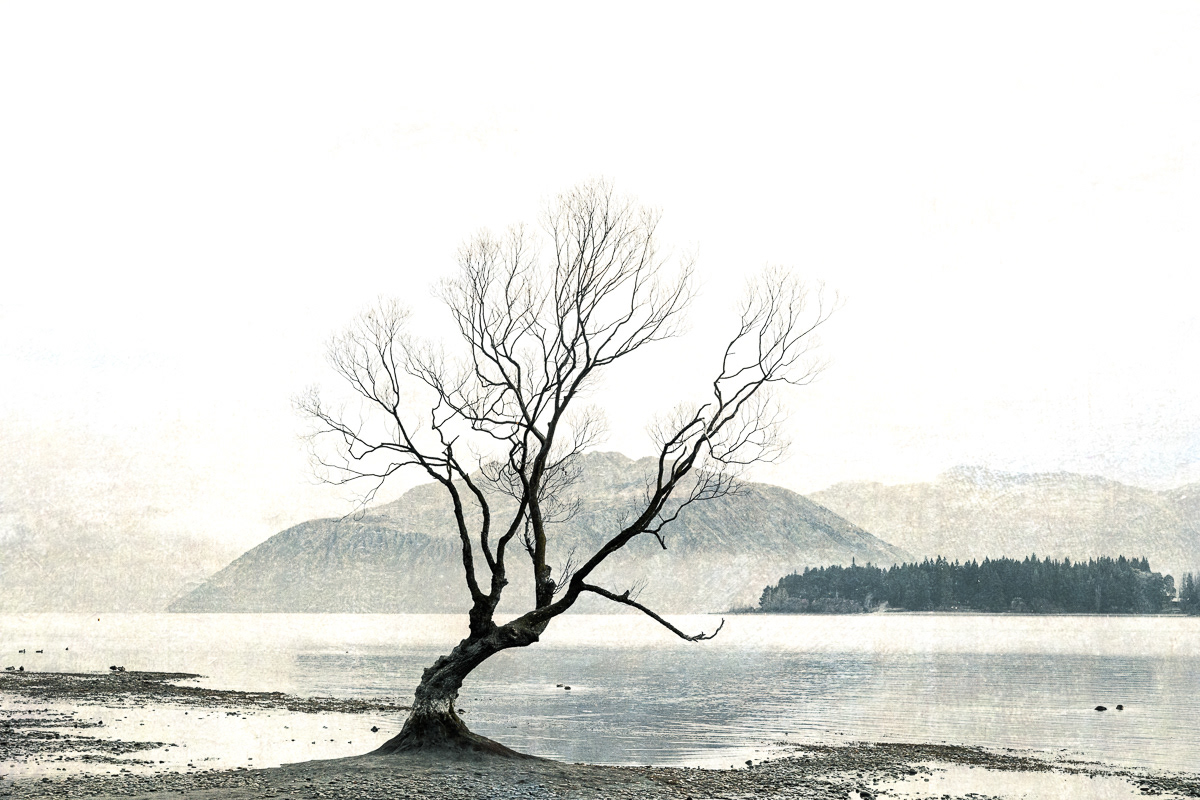 That Winter Tree