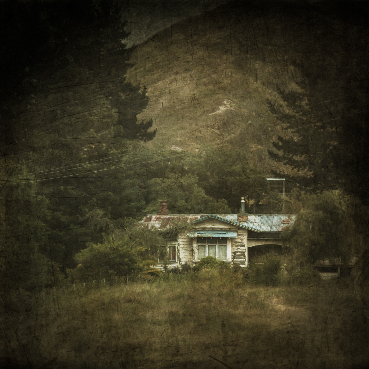 I Know Where The Hermit Lives