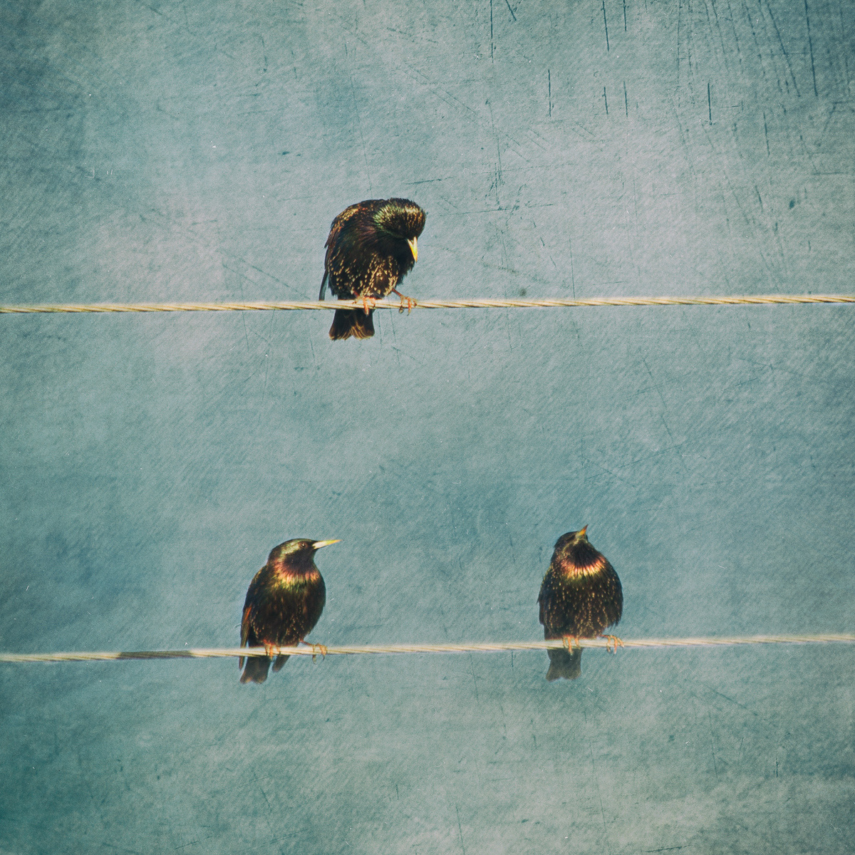 Wired Conversations (1)