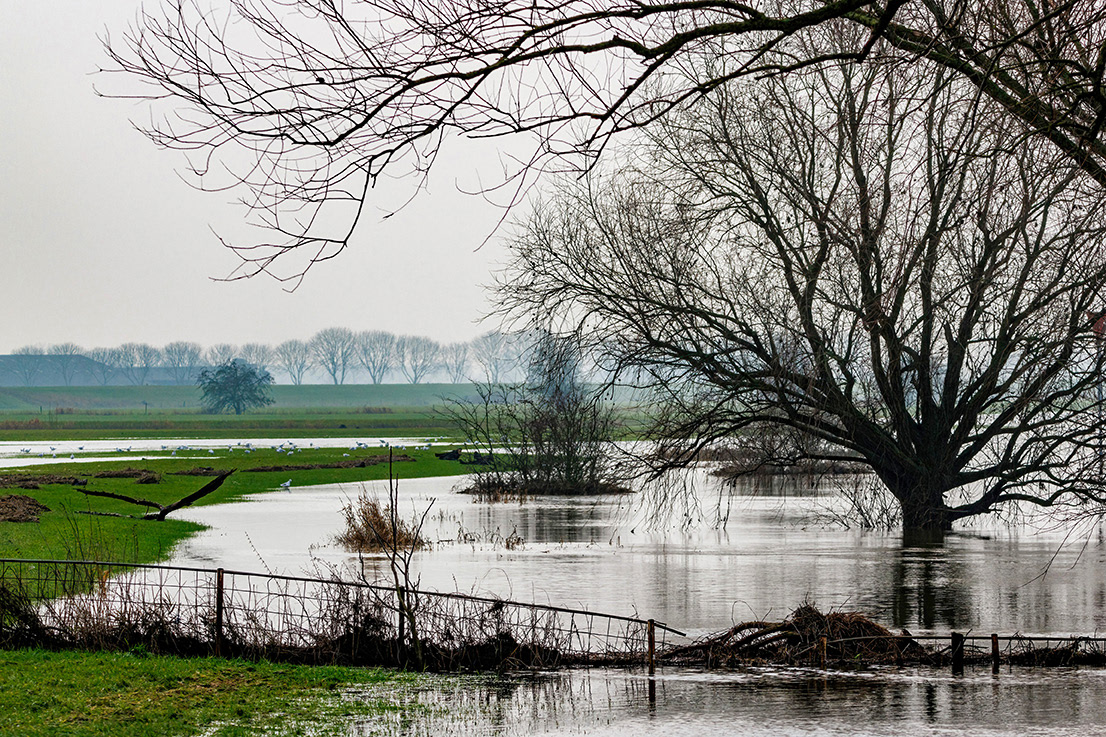 2023-1-21 Bronkhorst