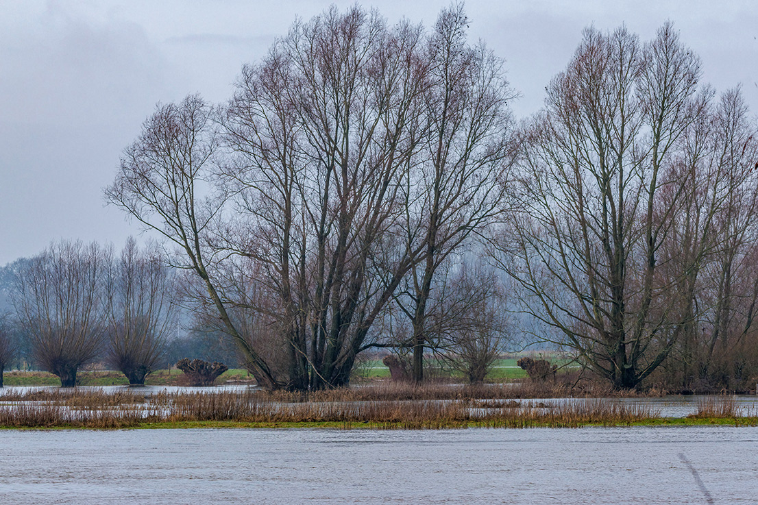 2023-1-21 Bronkhorst