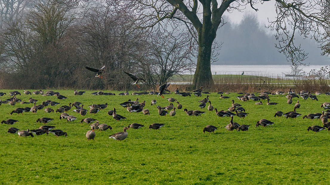 2023-1-21 Bronkhorst