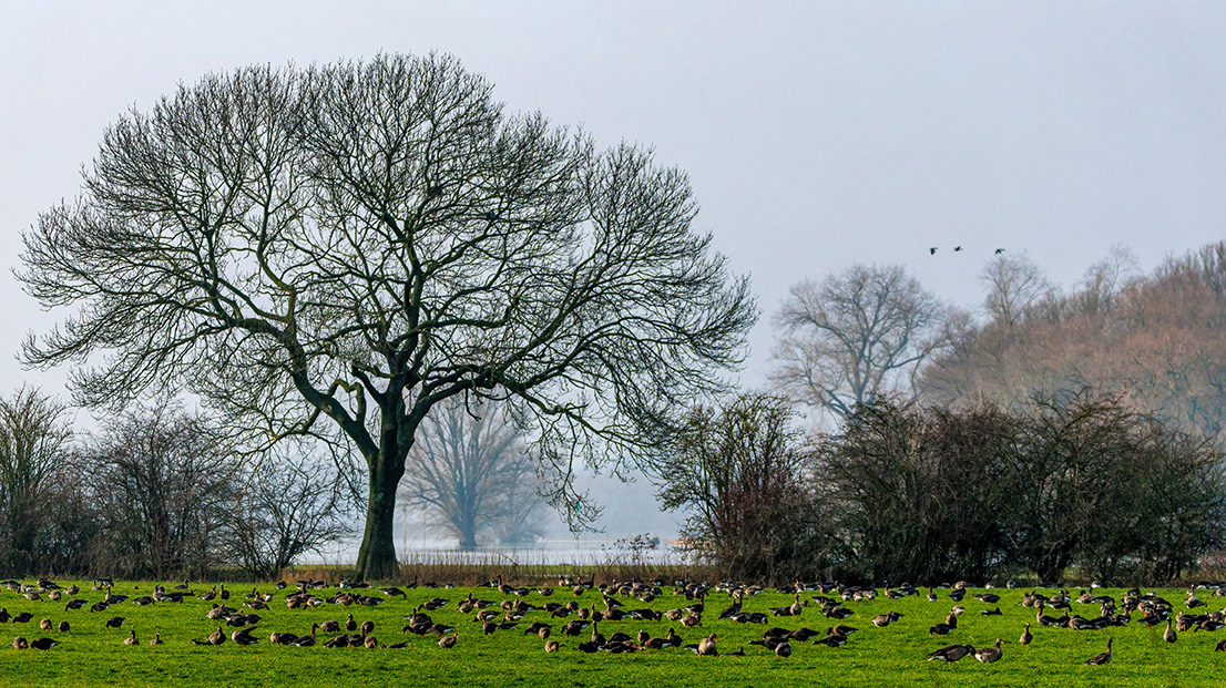 2023-1-21 Bronkhorst