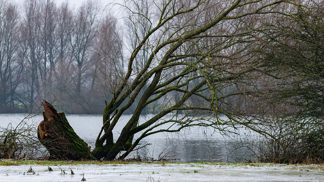 2023-1-21 Bronkhorst