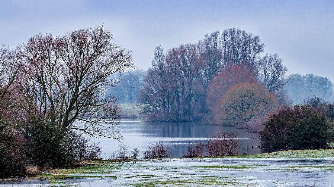 2023-1-21 Bronkhorst