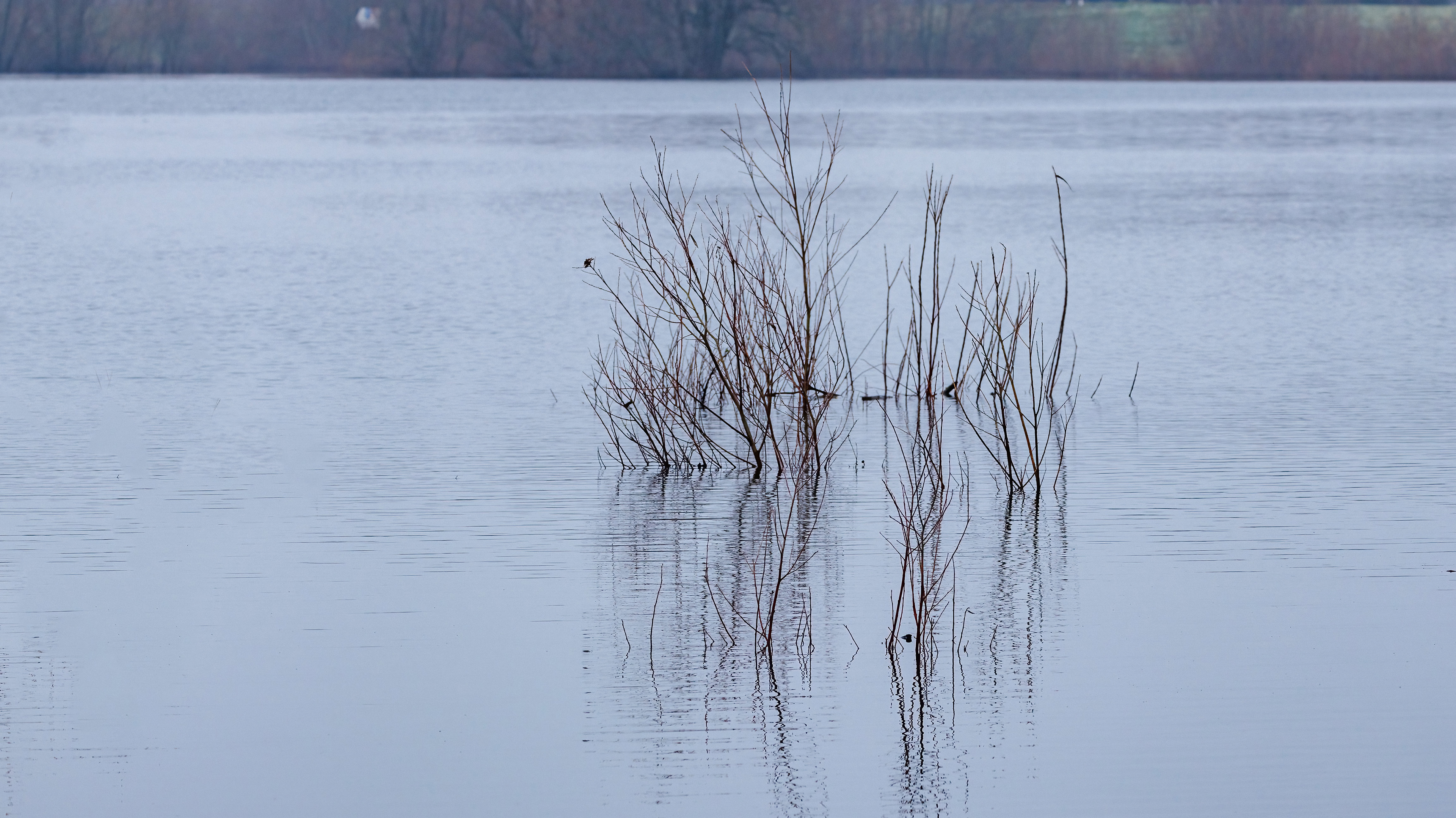 2023-1-21 Bronkhorst