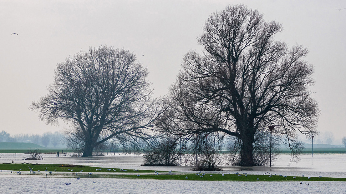 2023-1-21 Bronkhorst