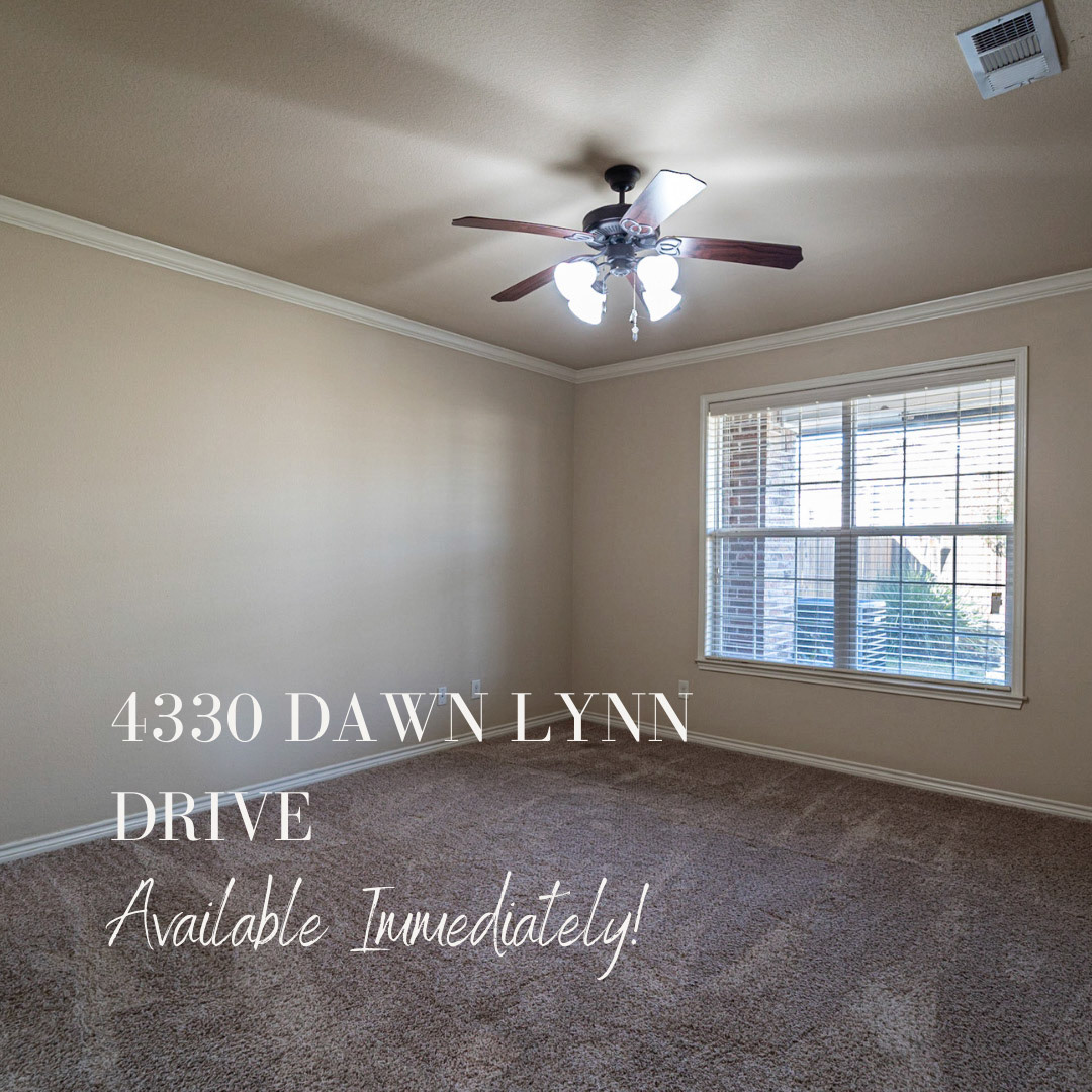 Polaroid Shop Sale Announcement Instagram