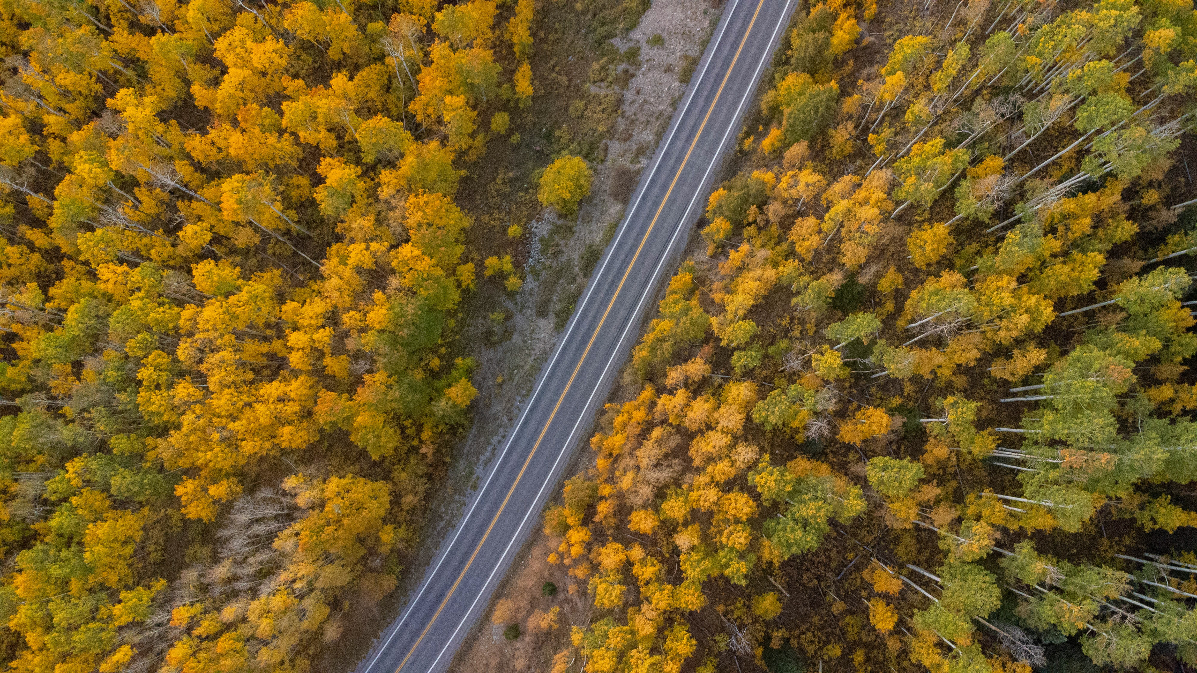 2024 - aerial view of the million dollar highway