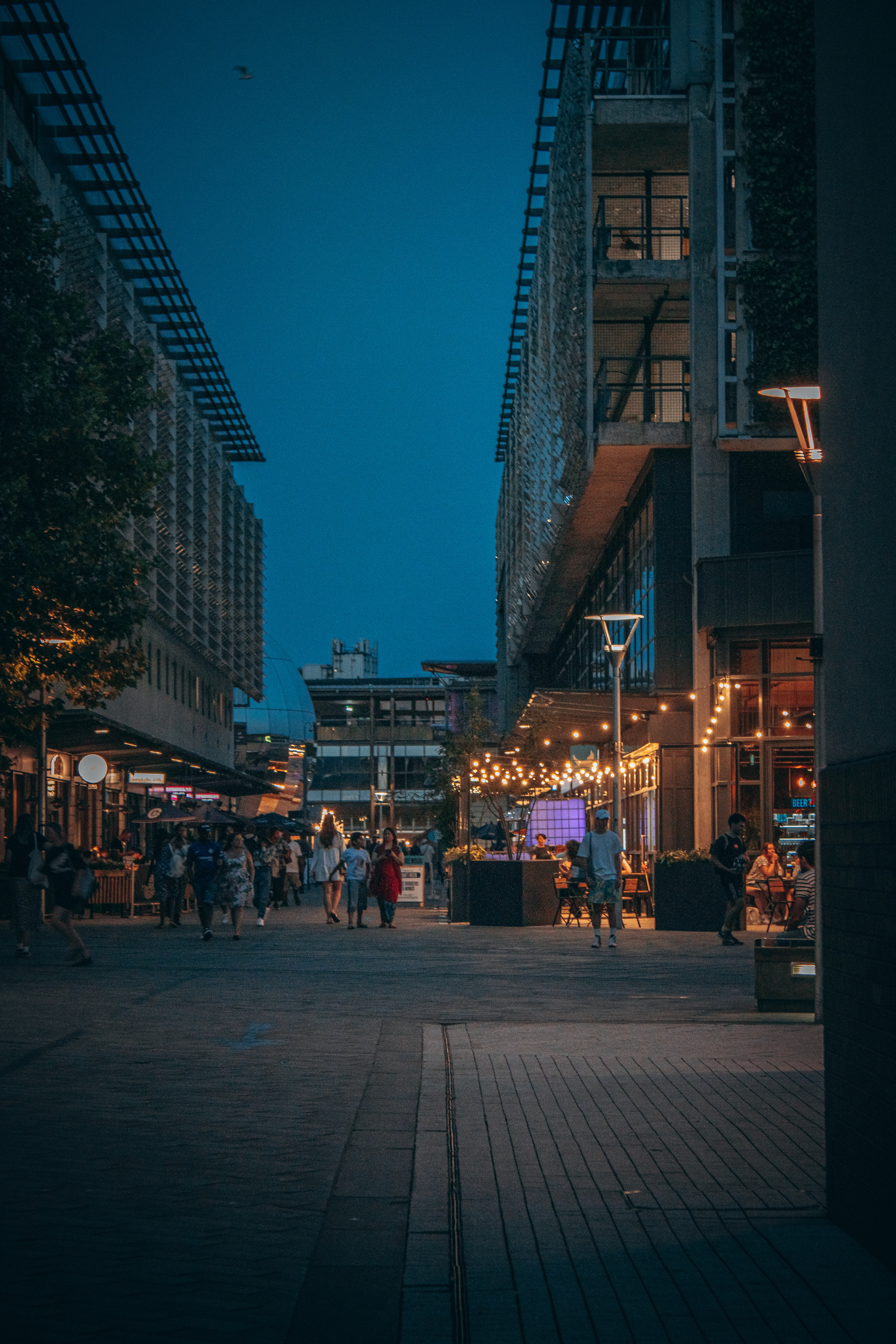 Bristol