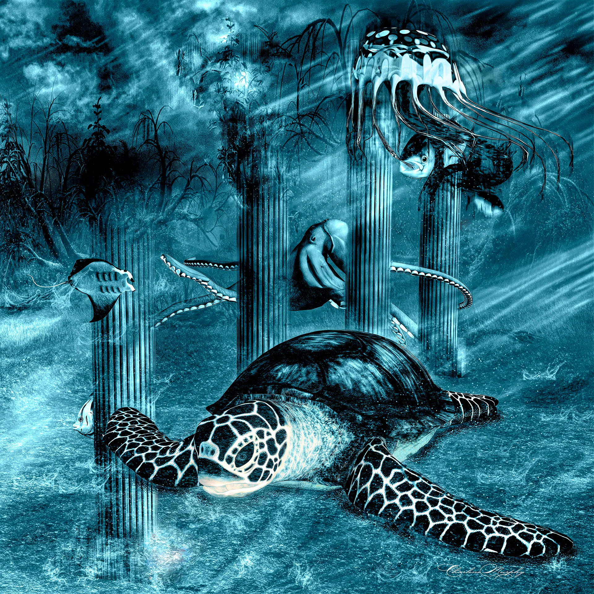 Baby Turtle Nightmares