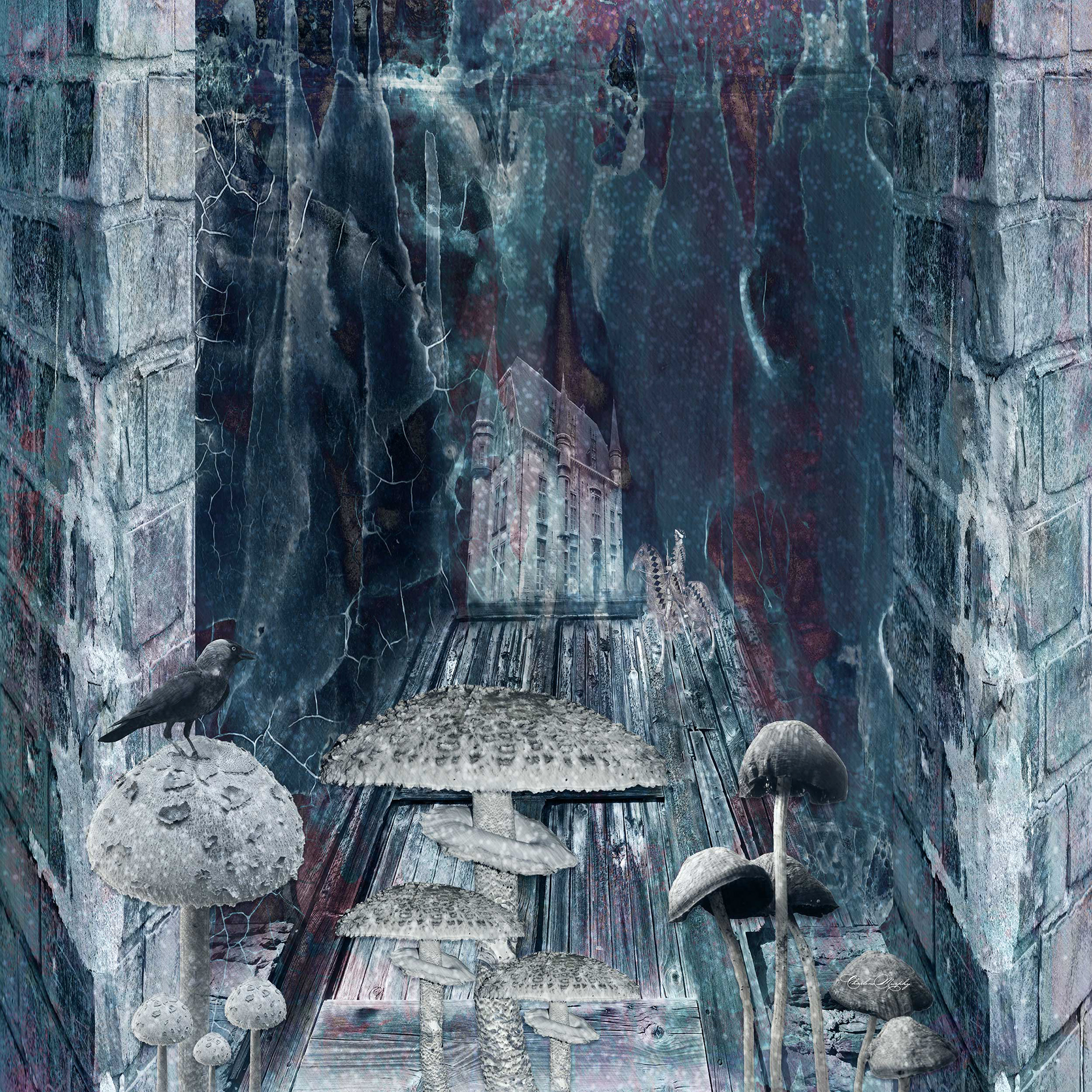 Beyond the Mushrooms